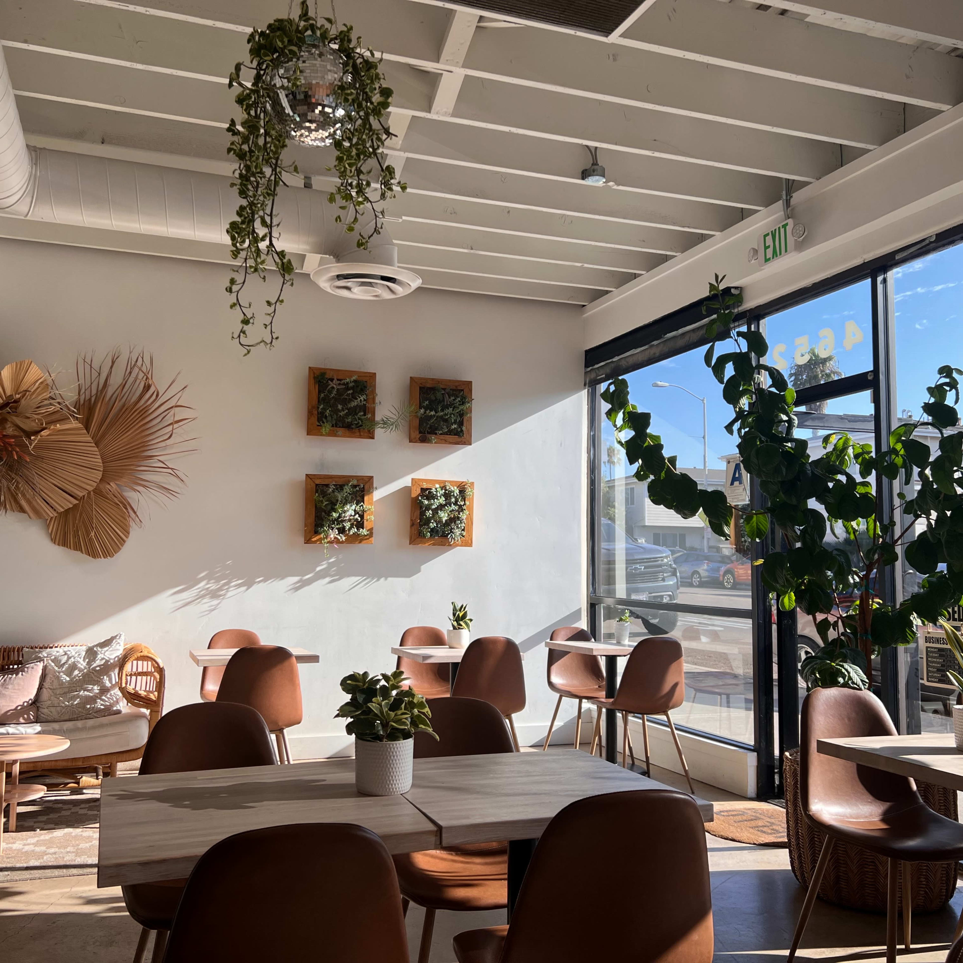 A modern cafe interior with wooden tables, brown chairs, greenery decor, and large windows letting in natural light.