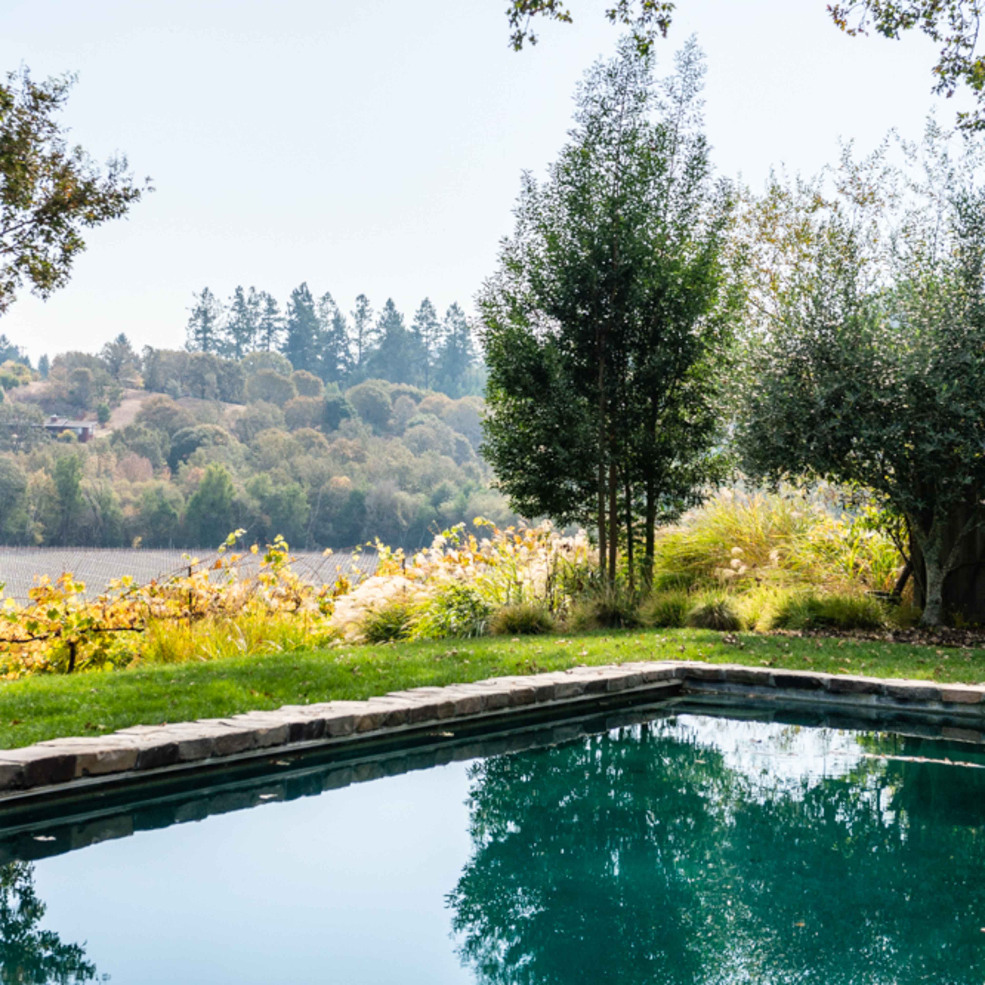 A clear swimming pool reflects the surrounding trees and hills under a bright sky.