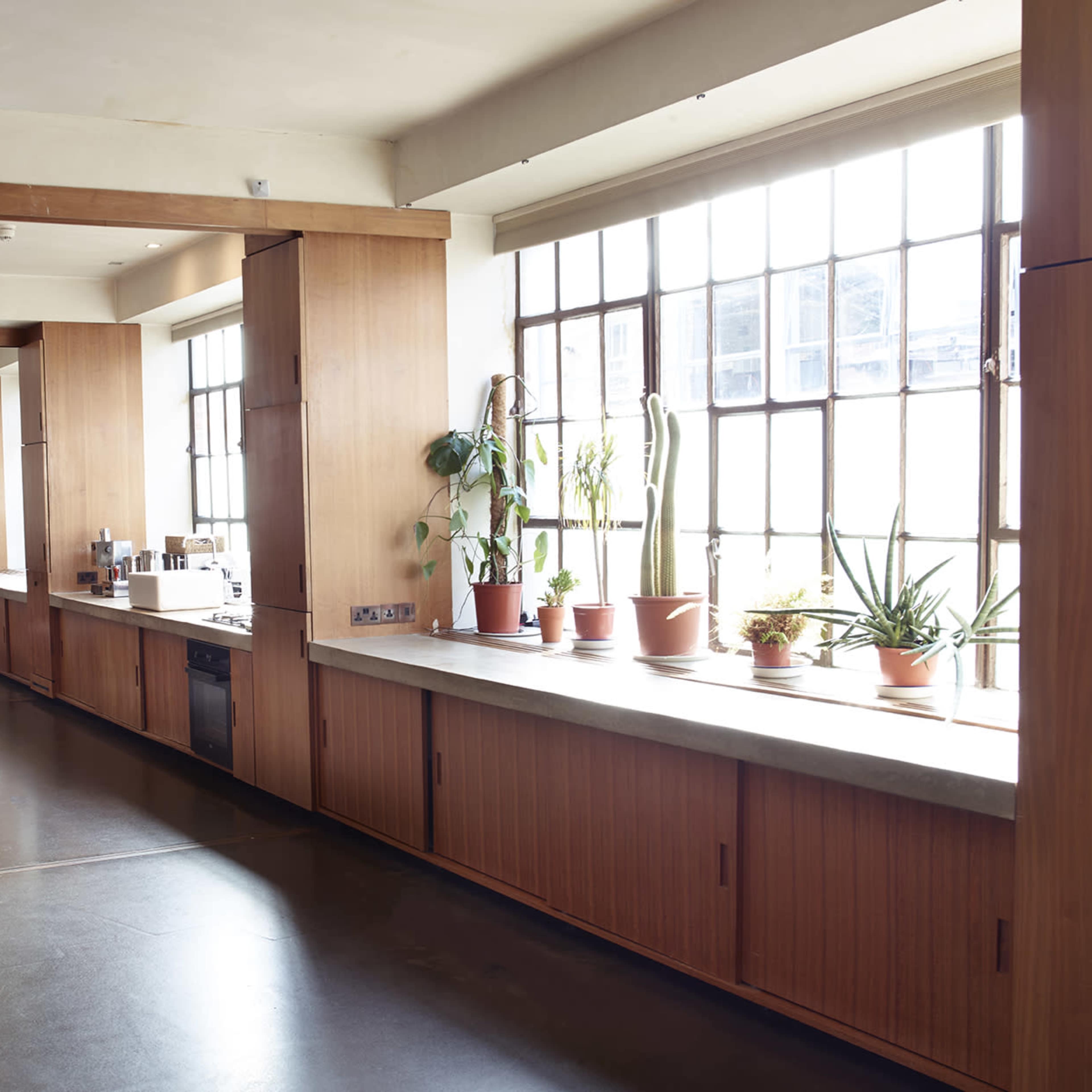 A modern kitchen and dining area with large windows, wooden cabinetry, and potted plants lining the counter.
