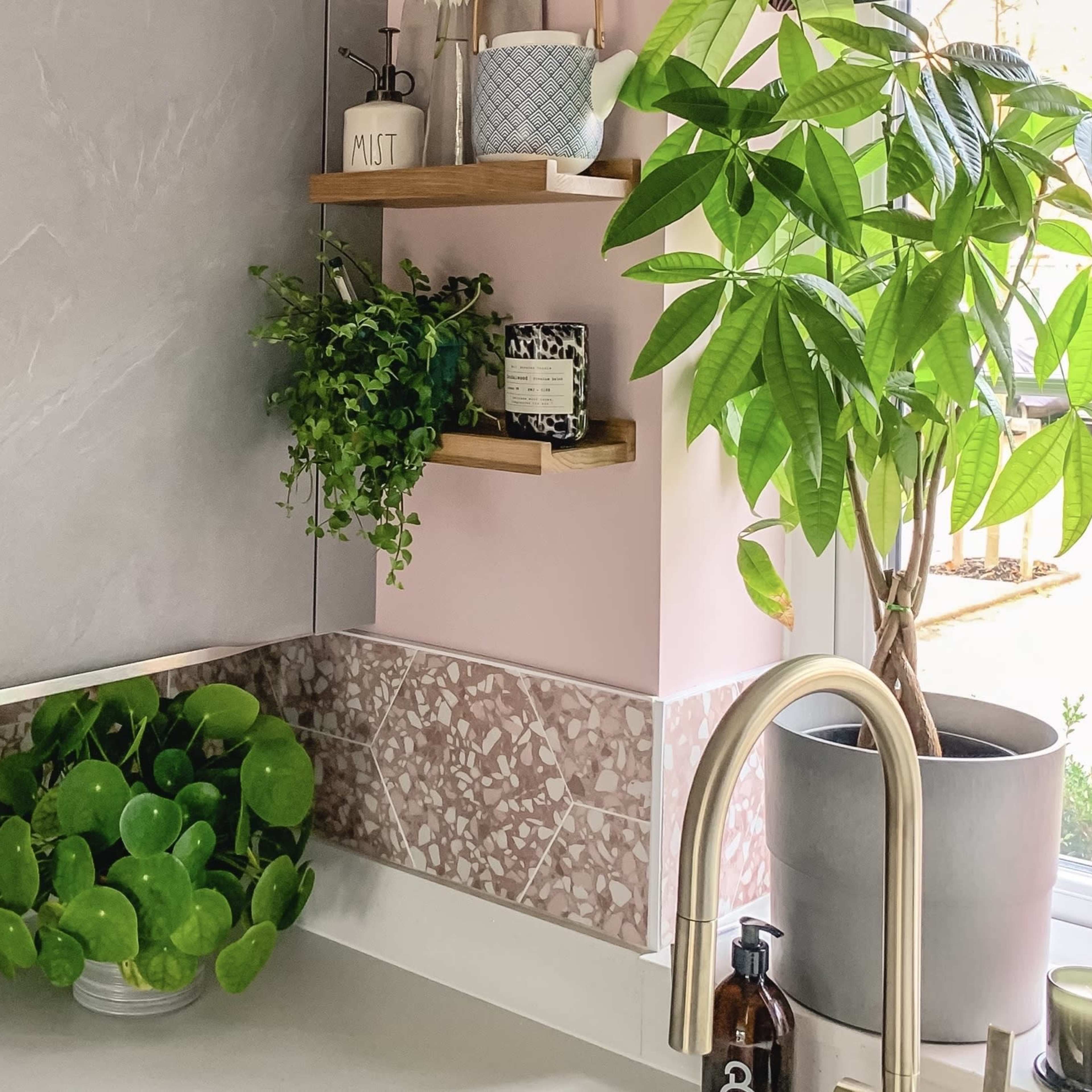 A kitchen corner featuring a sink with plants on the countertop, including a round green plant in a bowl and two wall-mounted wooden shelves holding various items and greenery.