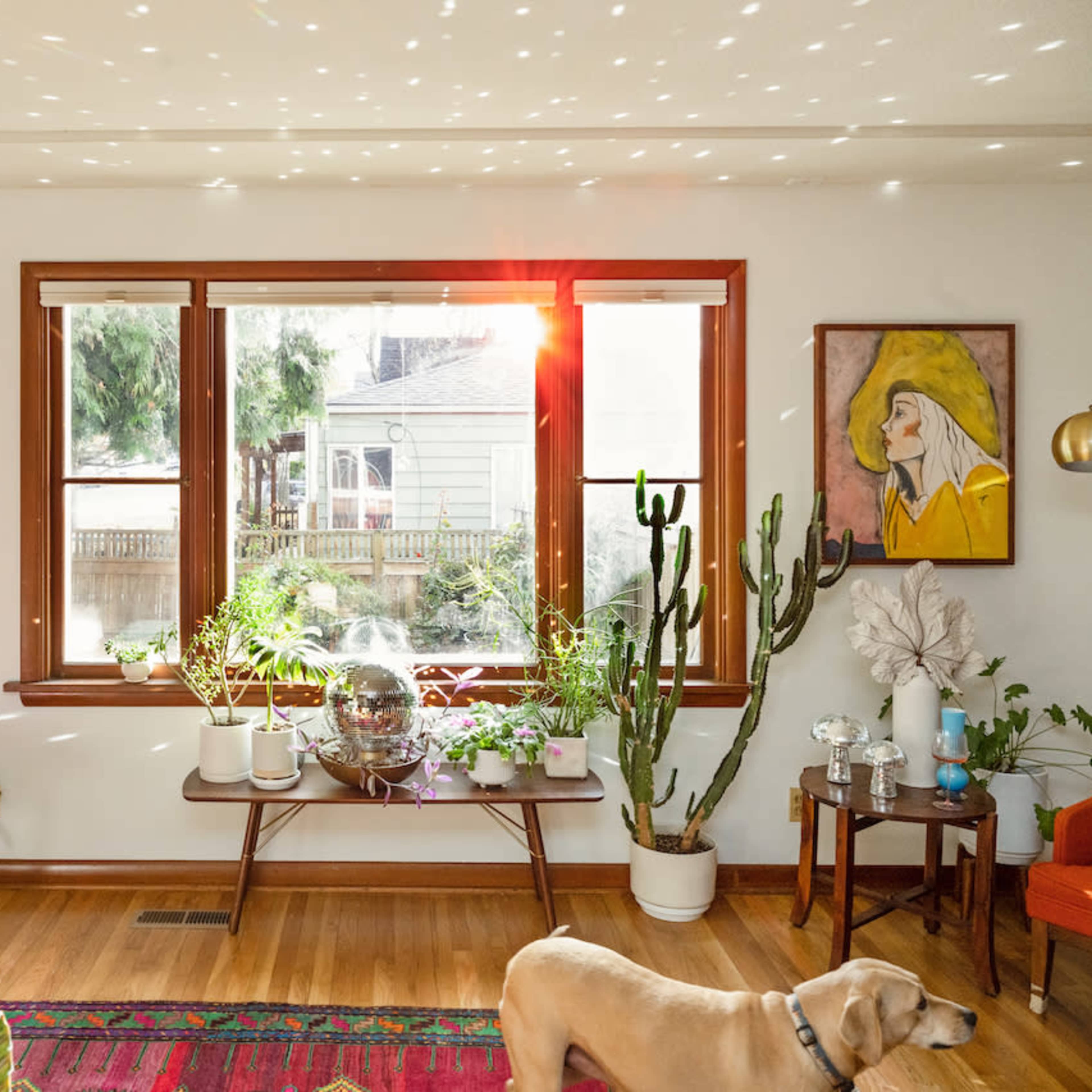 Rich Midcentury home with Large yard Image in Piedmont, Portland, OR
