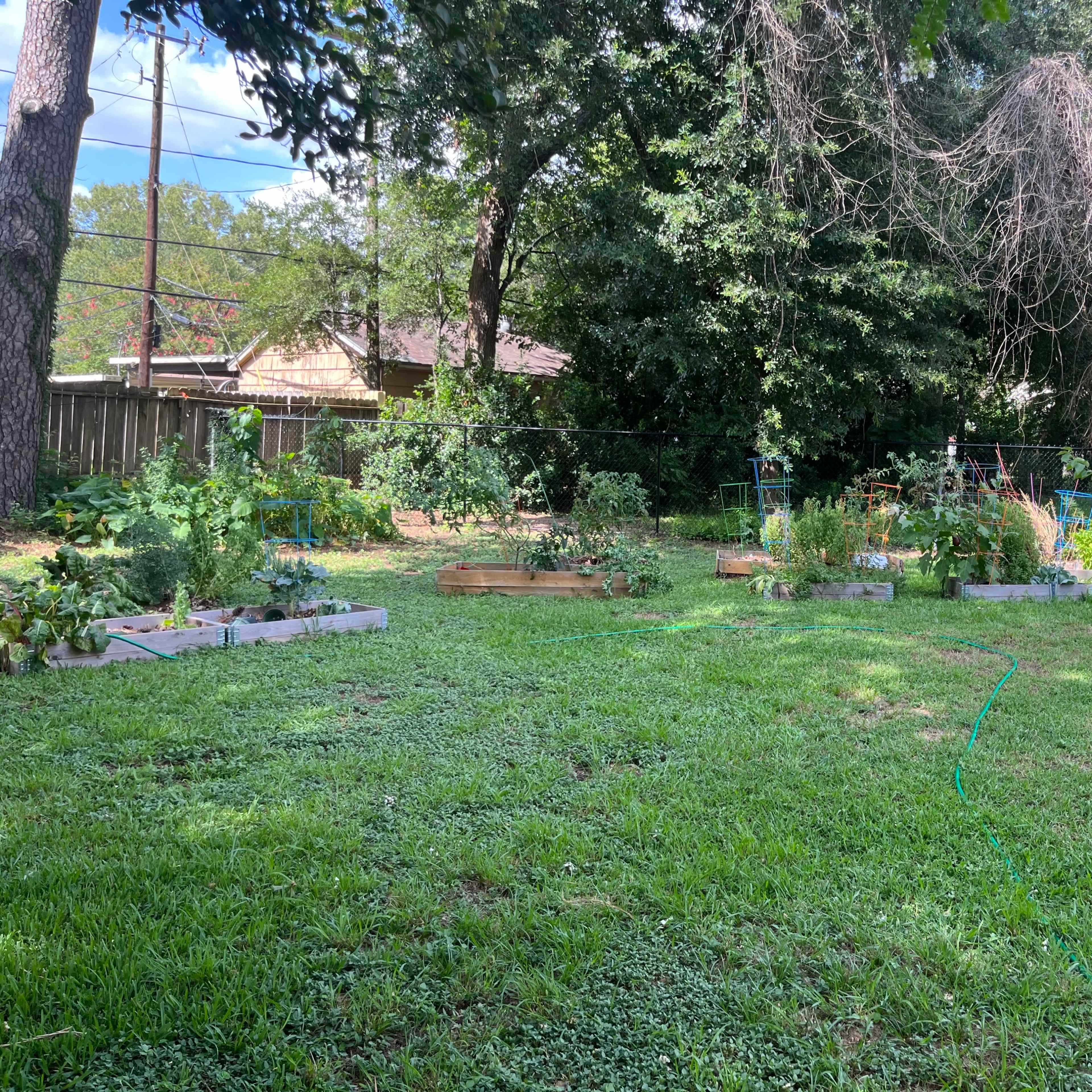 A backyard garden features several raised plant beds surrounded by grass and trees.