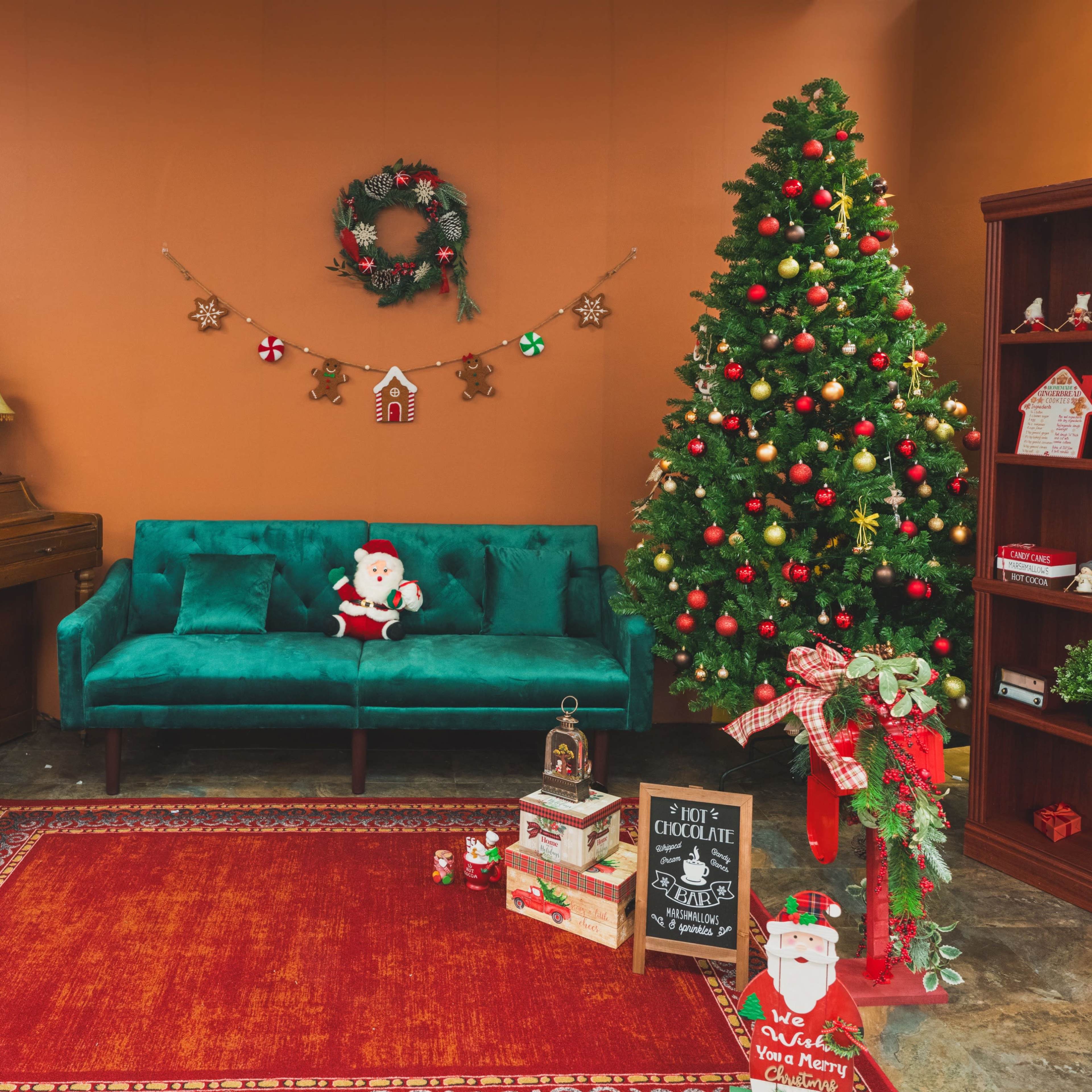 Christmas photo session studio rental Image in Farmers Branch, Farmers Branch, TX