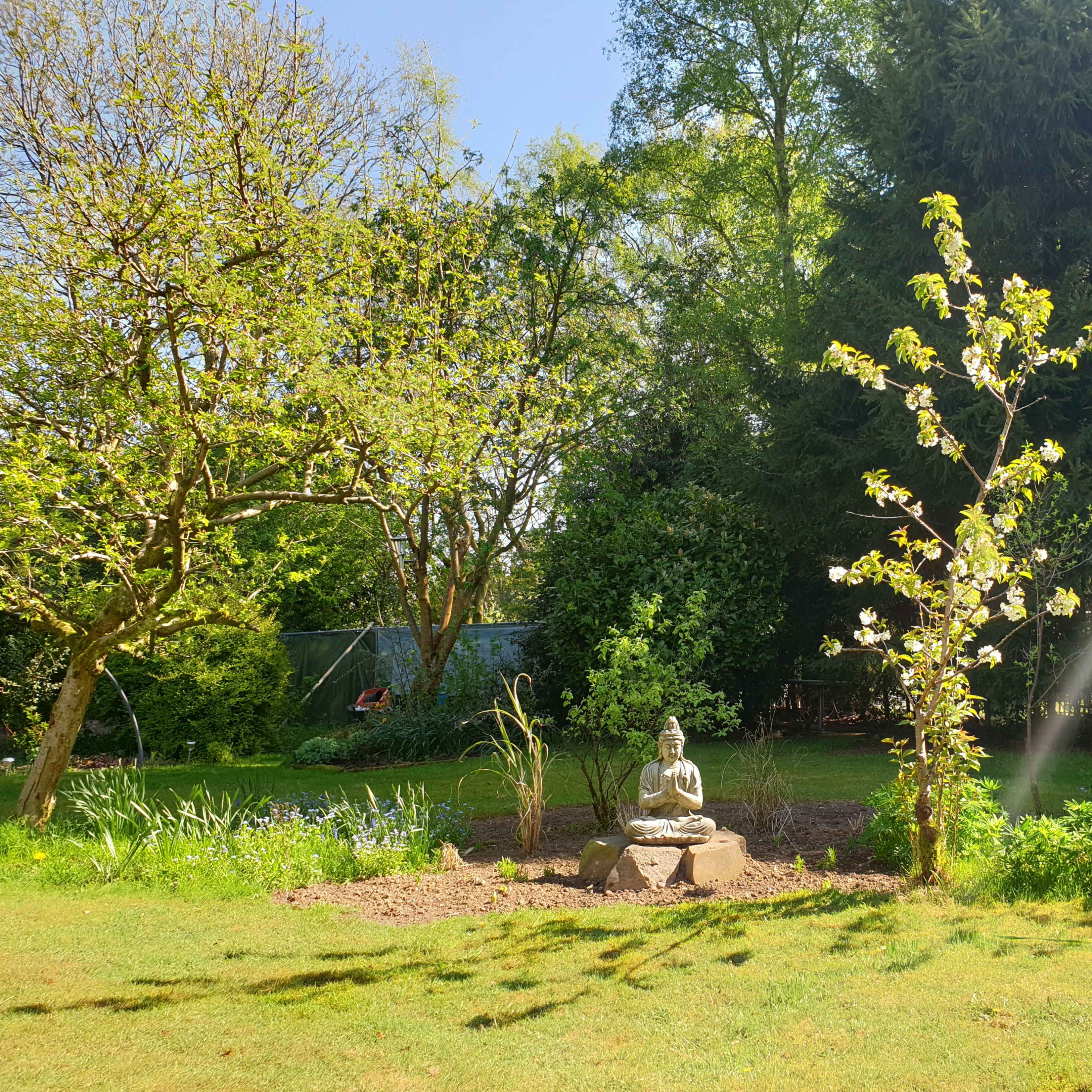 A stone Buddha statue sits surrounded by trees and greenery in a sunlit garden.