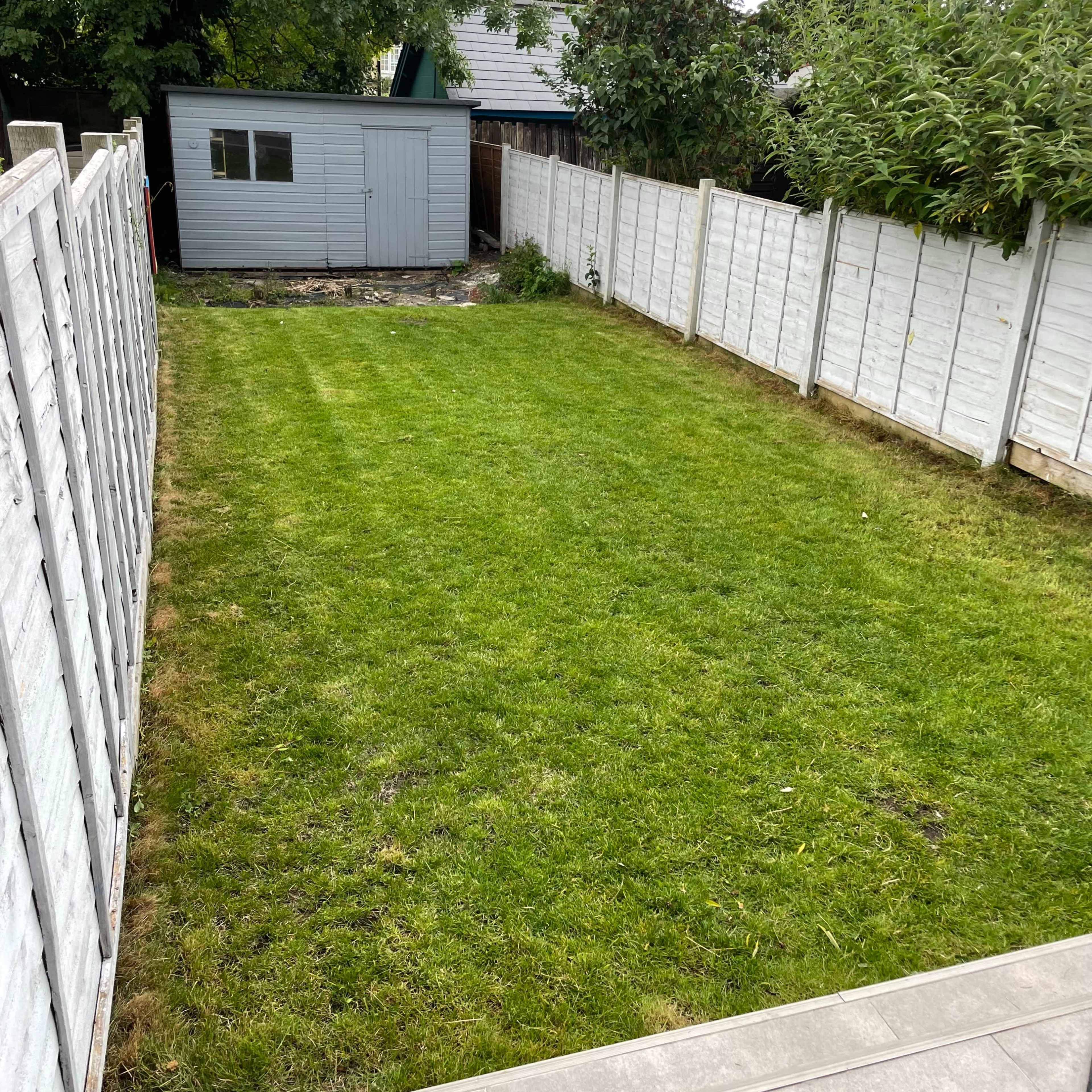 A rectangular backyard with a well-maintained grassy area, bordered by white wooden fences and featuring a small shed at the end.