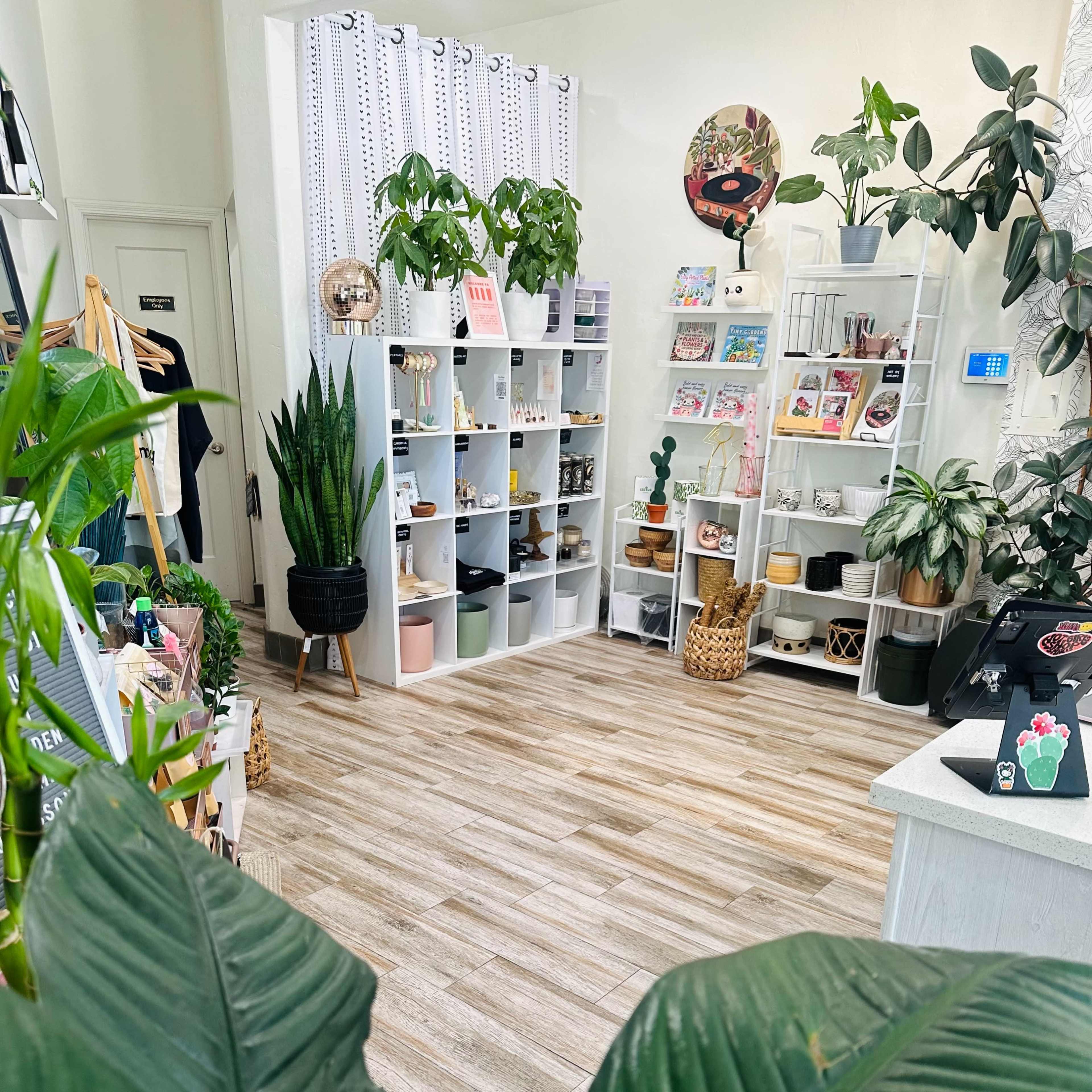 Vibrant Plant Lounge Perfect for Intimate Events & Workshops Image in Downtown, Campbell, CA