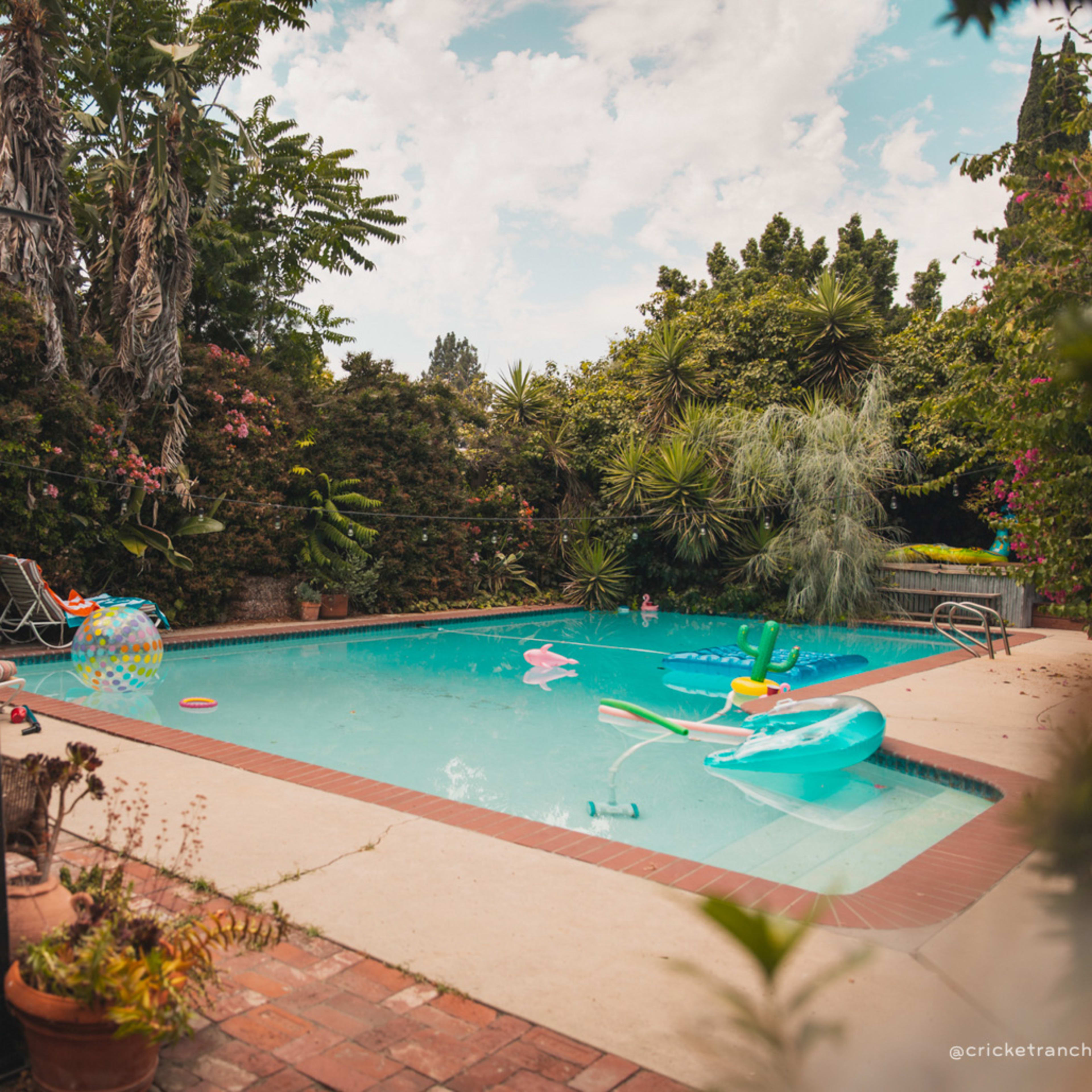 A swimming pool surrounded by lush greenery and colorful inflatable pool toys sits in a backyard setting.