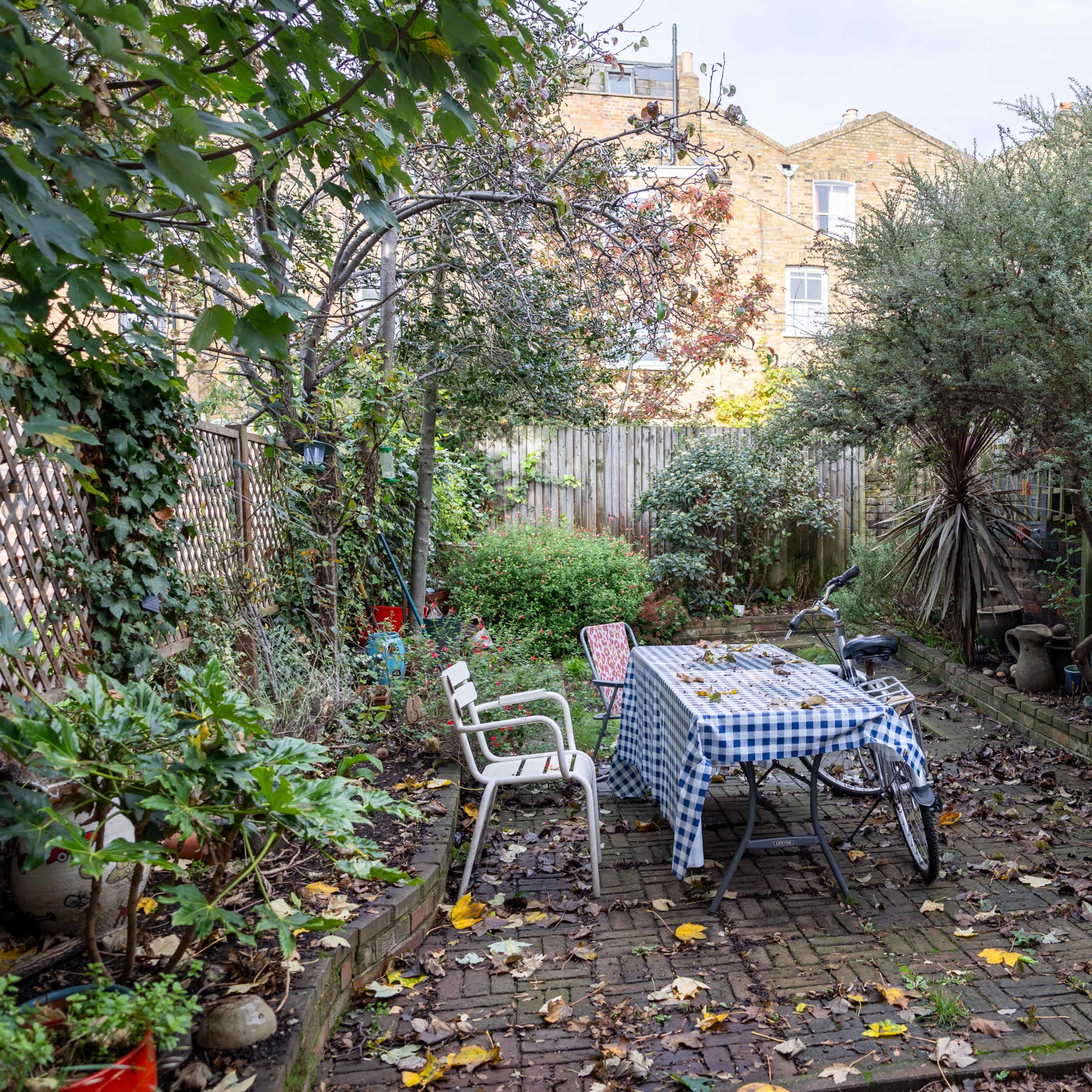 A garden with a checkered tablecloth-covered table, surrounded by various plants and a bicycle, is seen through a doorway.