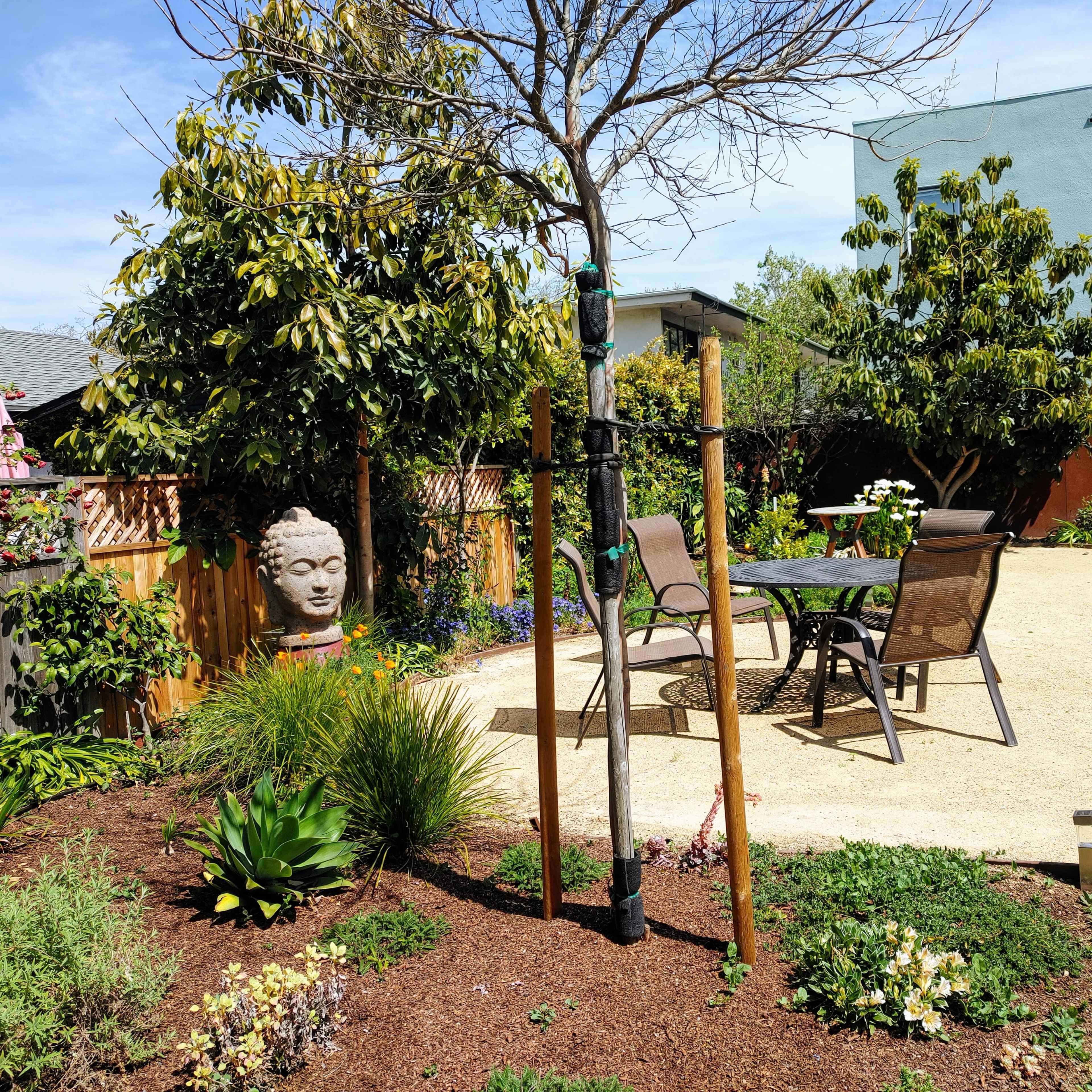 A garden with a gravel path, patio furniture, a stone Buddha statue, and various plants and trees.