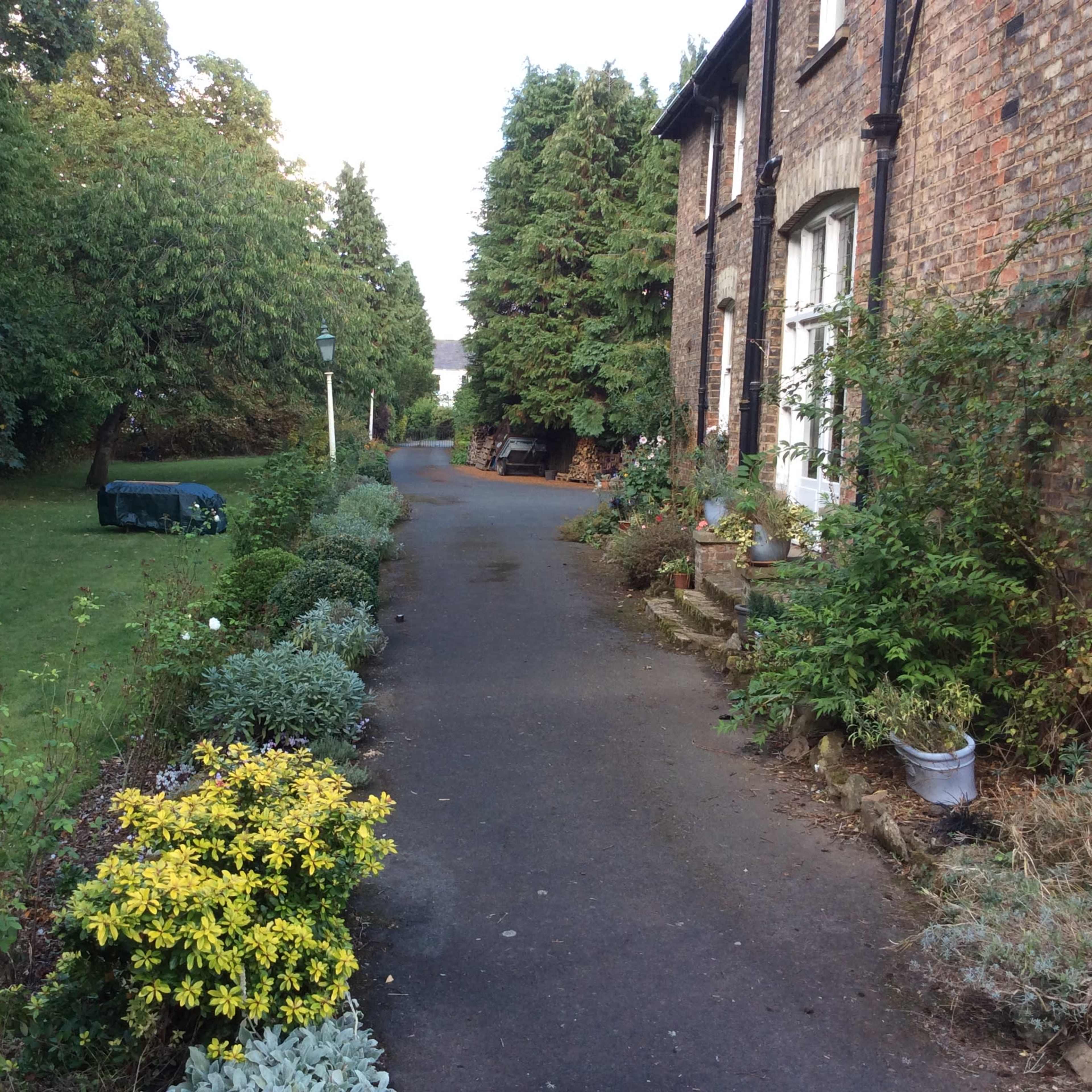 A narrow pathway bordered by lush greenery leads past a brick building and towards a tree-lined area.