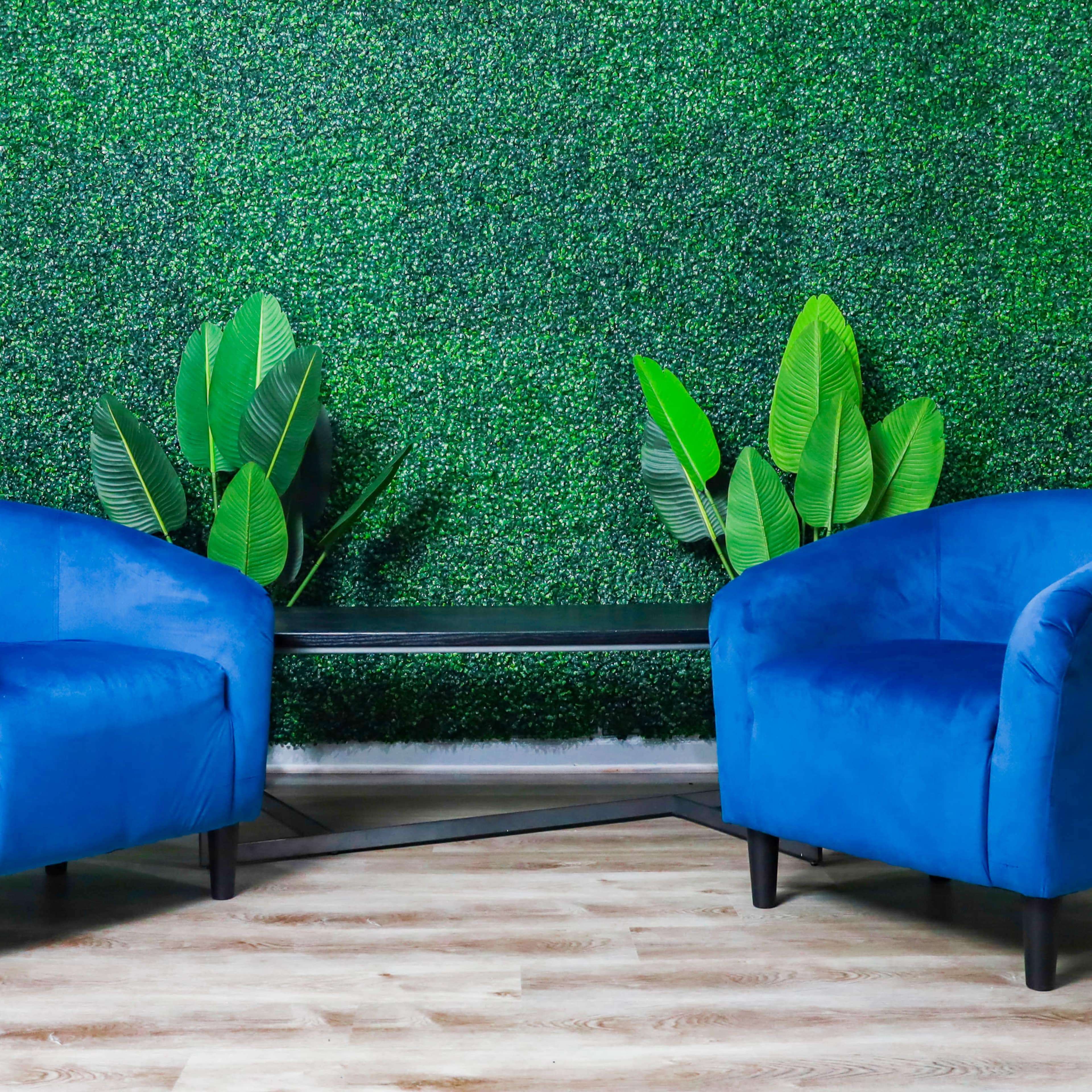 Two blue upholstered chairs are arranged across from a black coffee table, set against a backdrop of artificial green foliage.