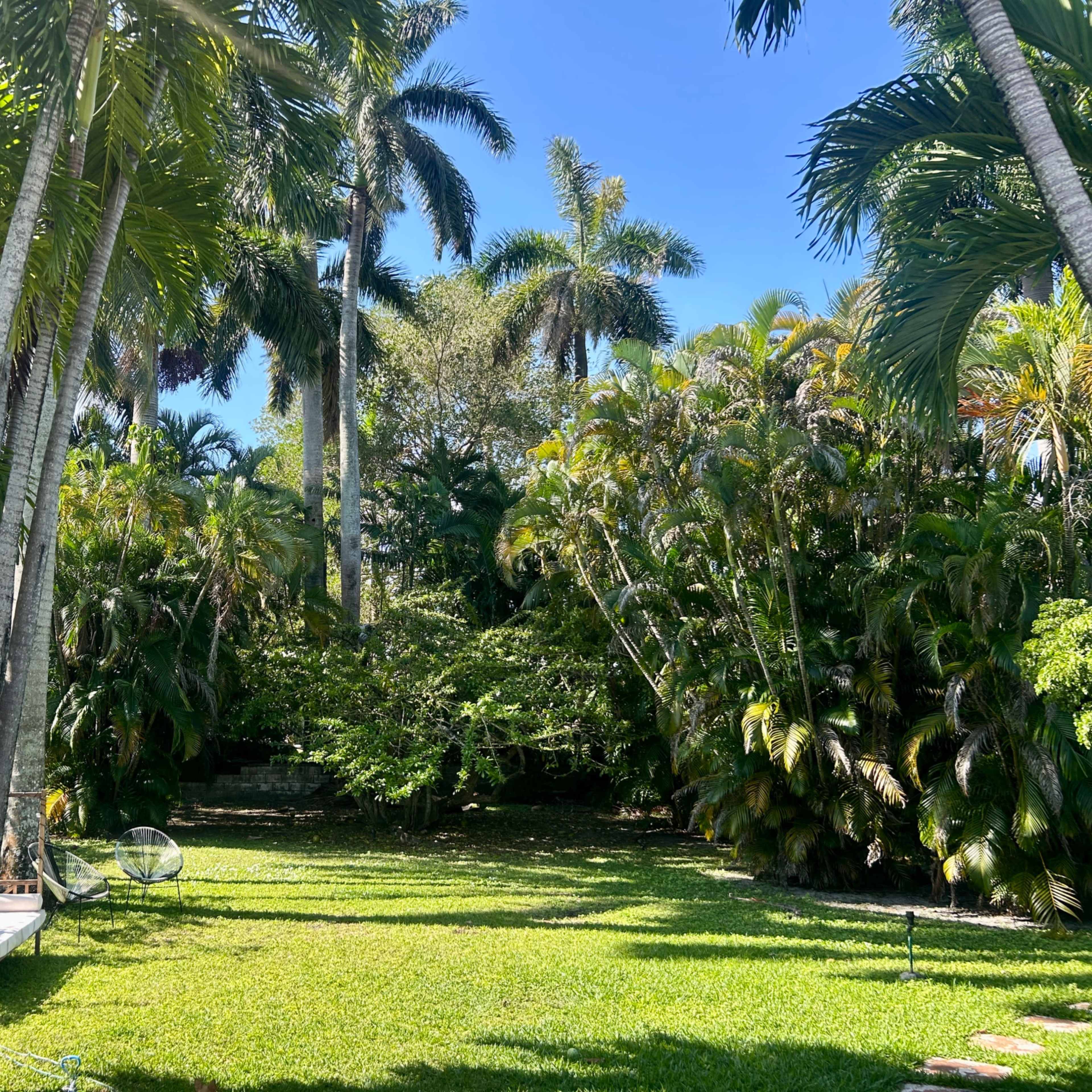 Tulum Jungle Oasis in Miami – Lush Tropical Backyard with Deck & Couch for Shoots, Wellness, and Events Image in , Miami, FL