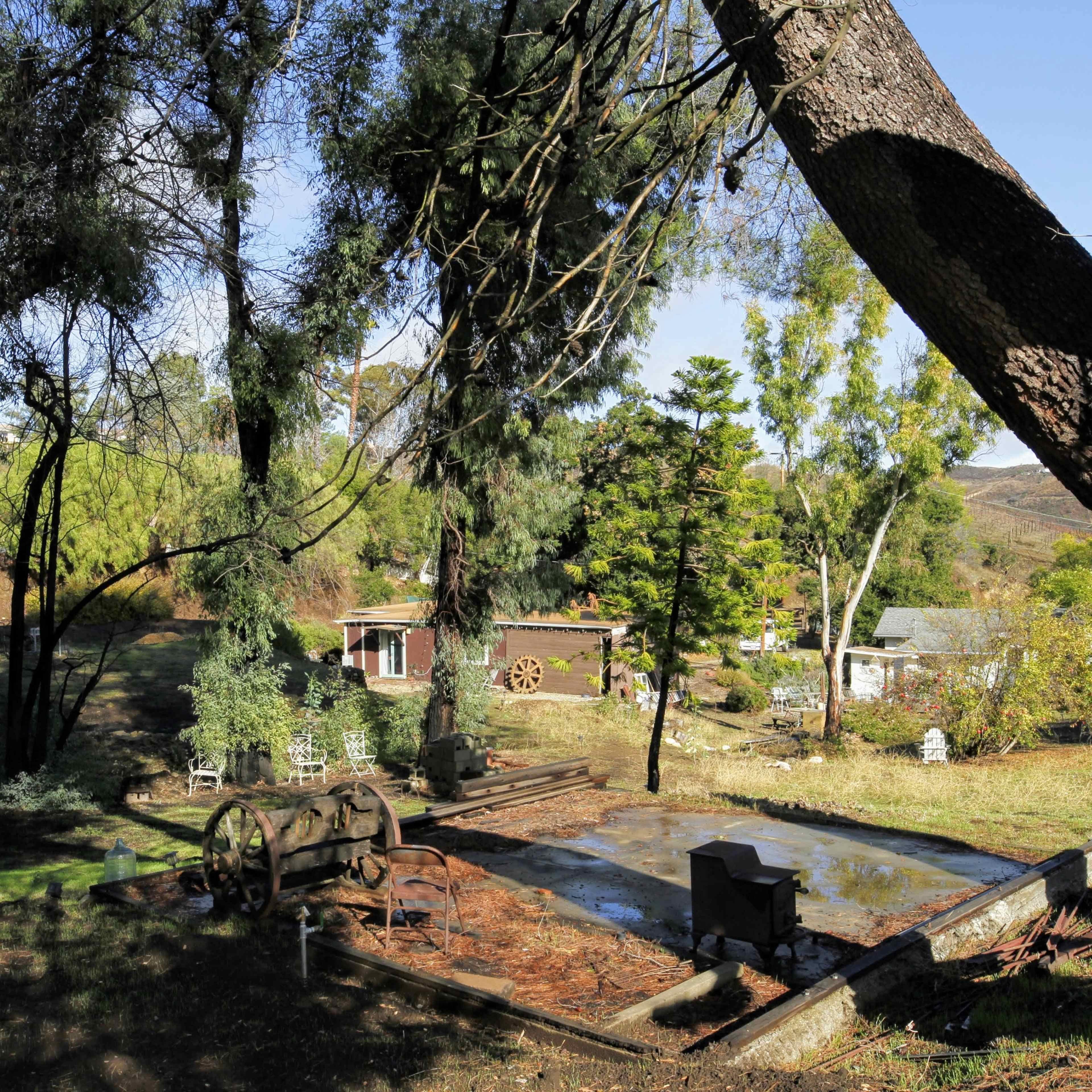 A garden area with several trees, a small pond, and structures in the background, including a shed and a water feature.