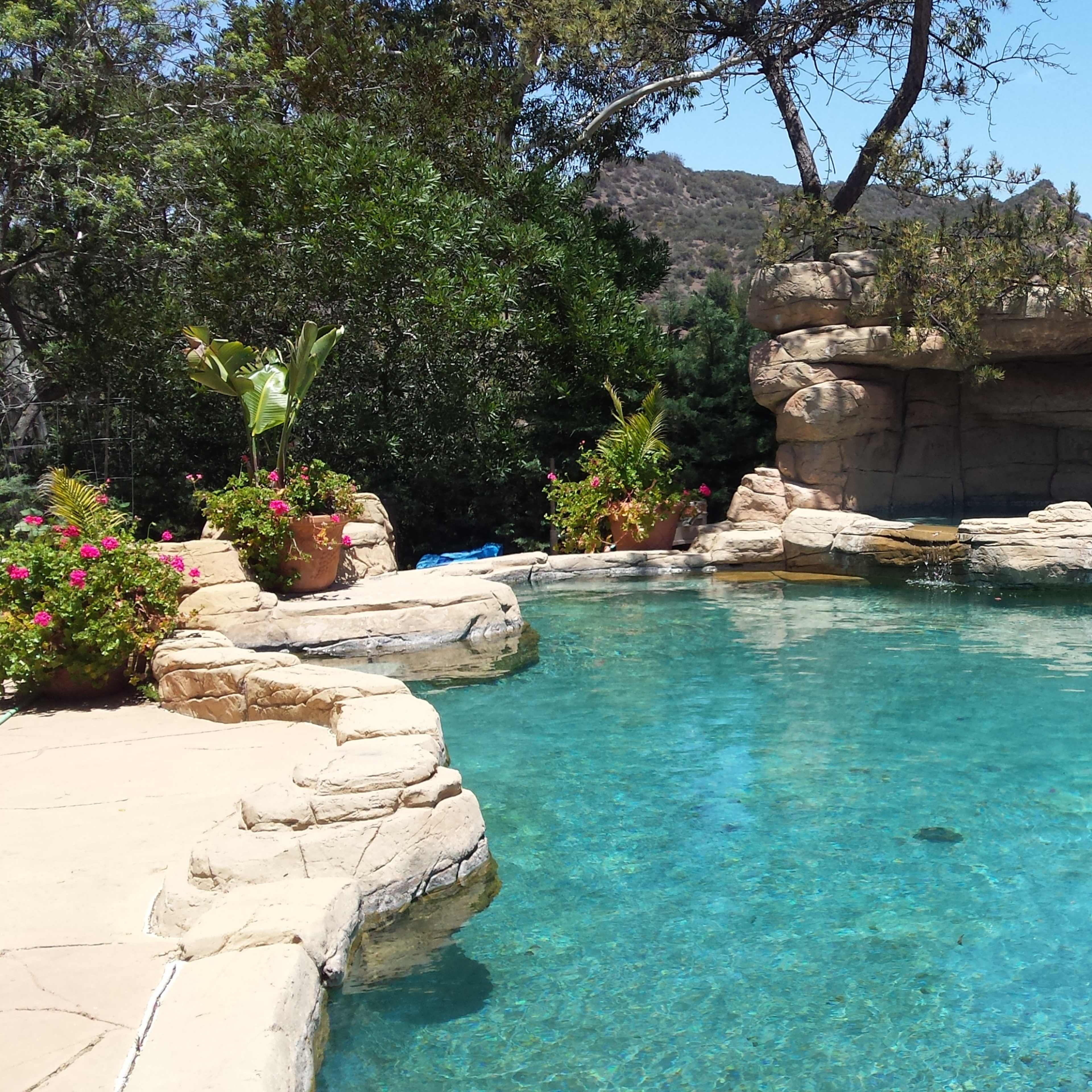 A clear swimming pool with rock formations and surrounding greenery, next to a house.