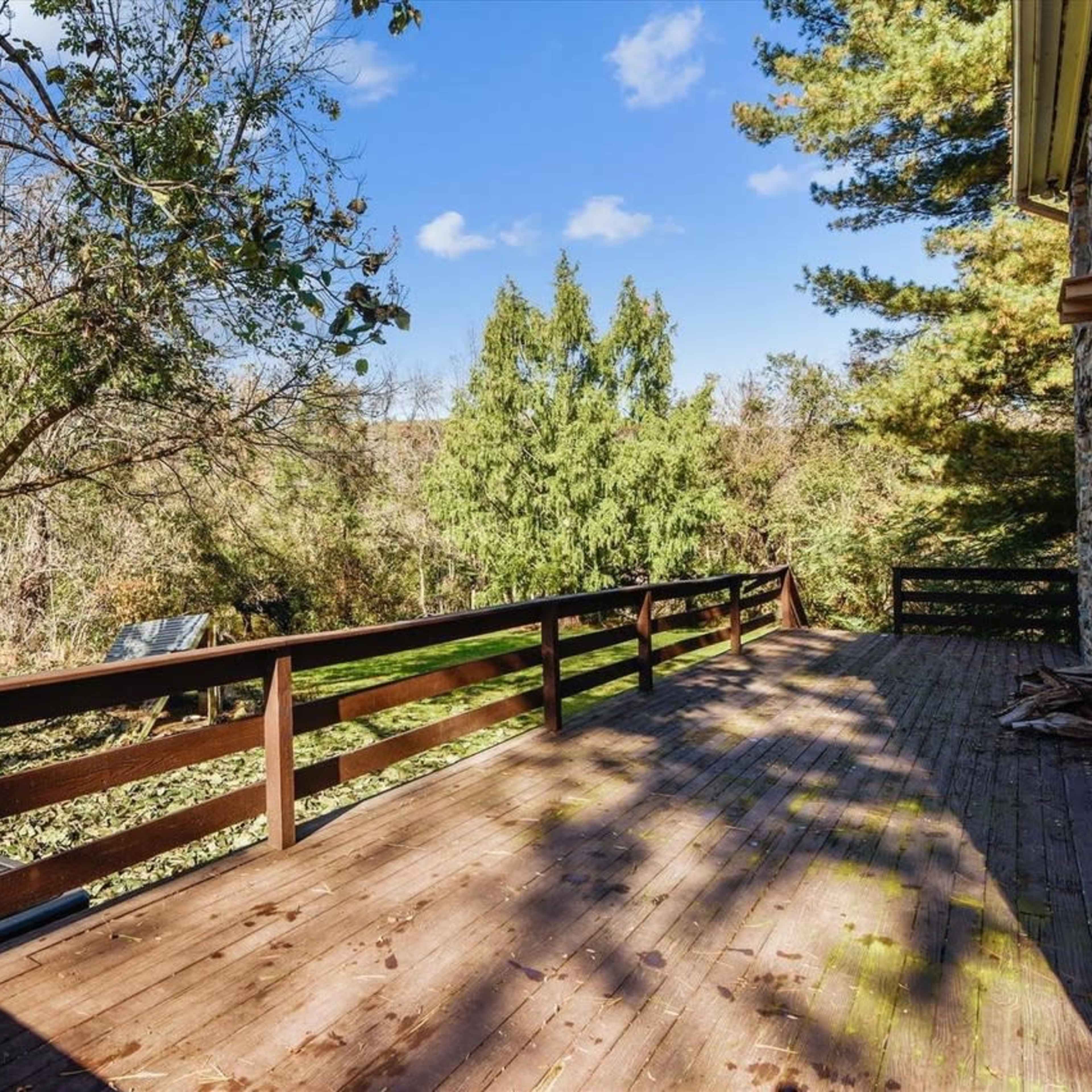 A wooden deck overlooks a densely wooded area with various trees and a clear blue sky.