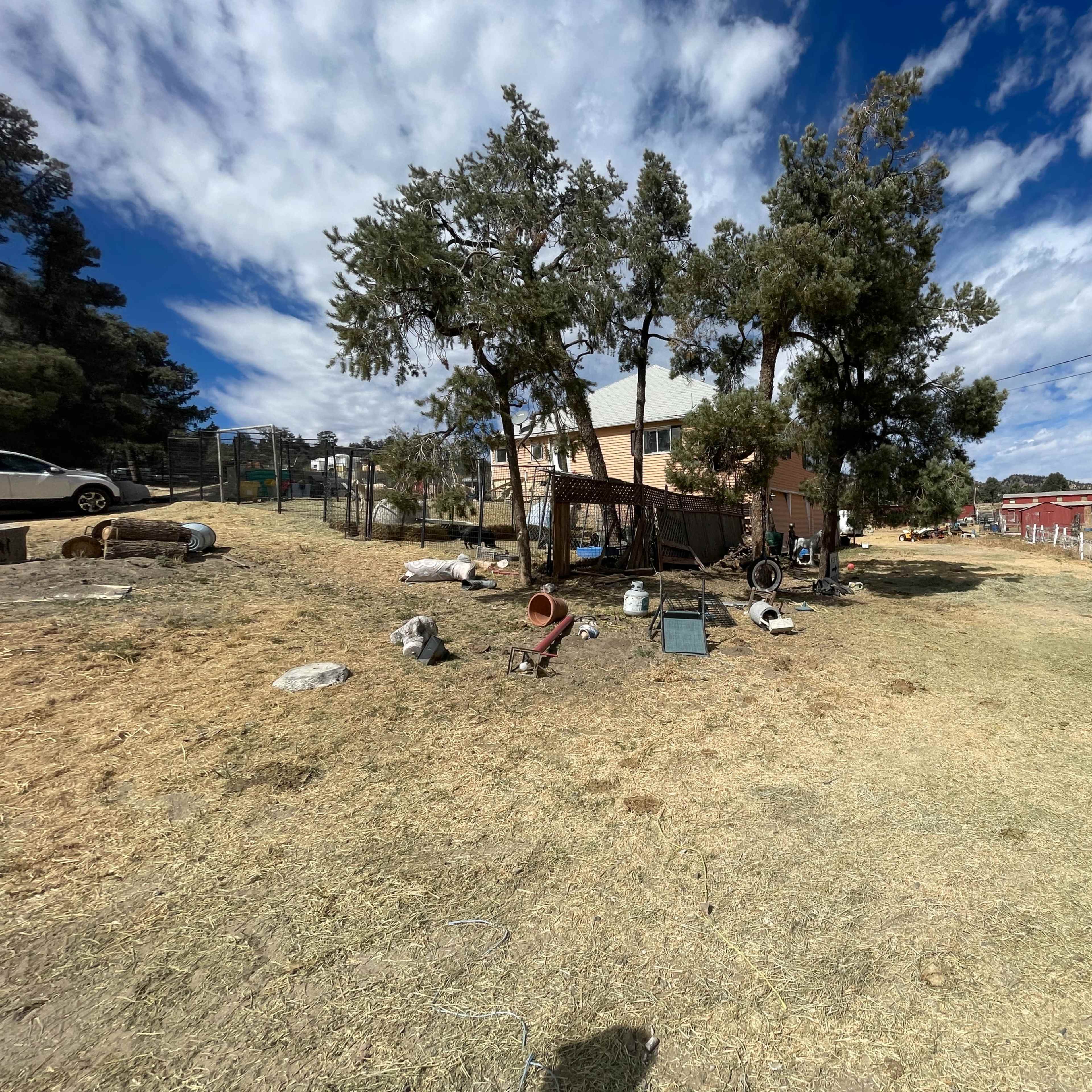 A house with a fenced yard is set against a backdrop of trees and blue sky, surrounded by various items and a few animals in the vicinity.