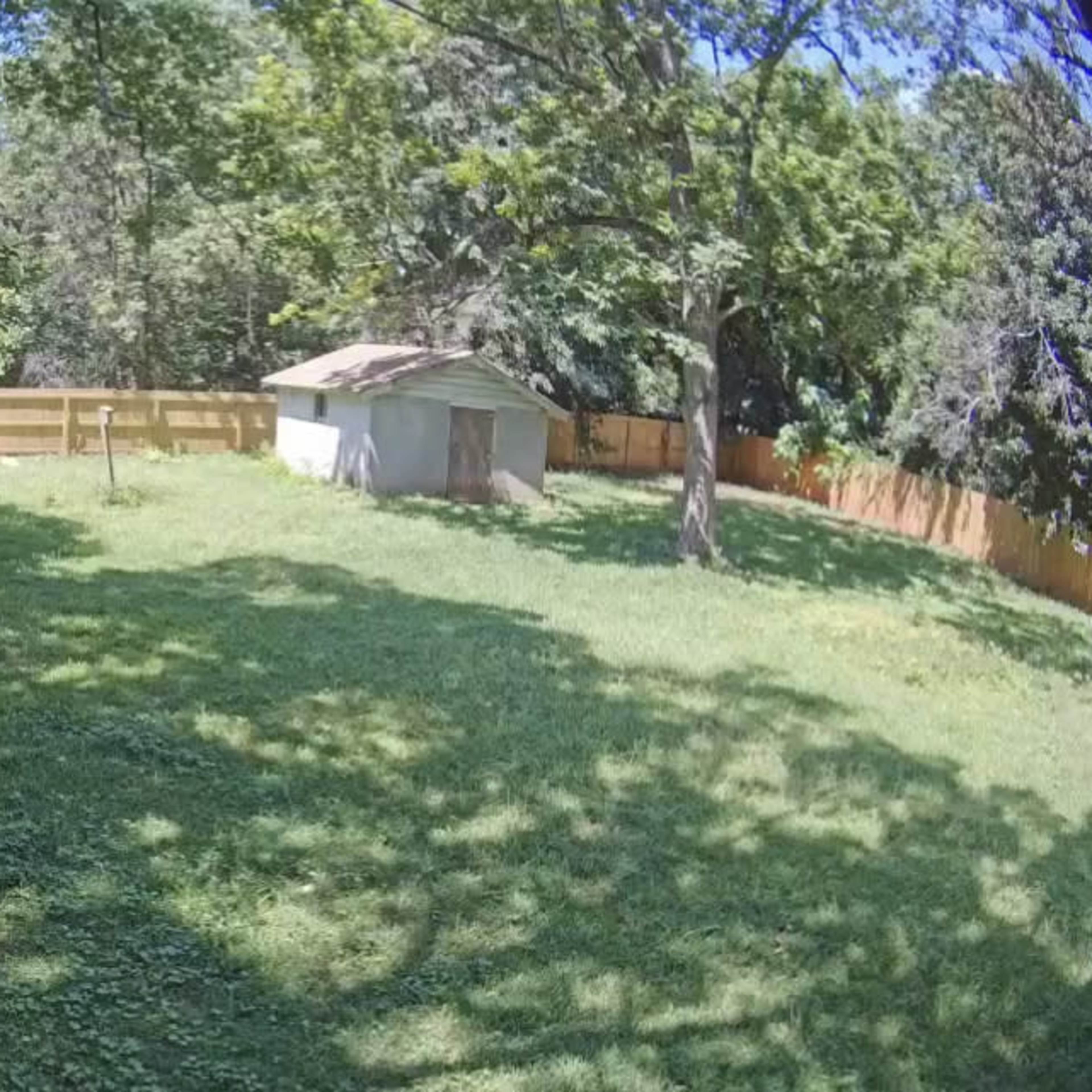 A spacious backyard with a wooden fence, a small shed, and areas of grass and shade from nearby trees.