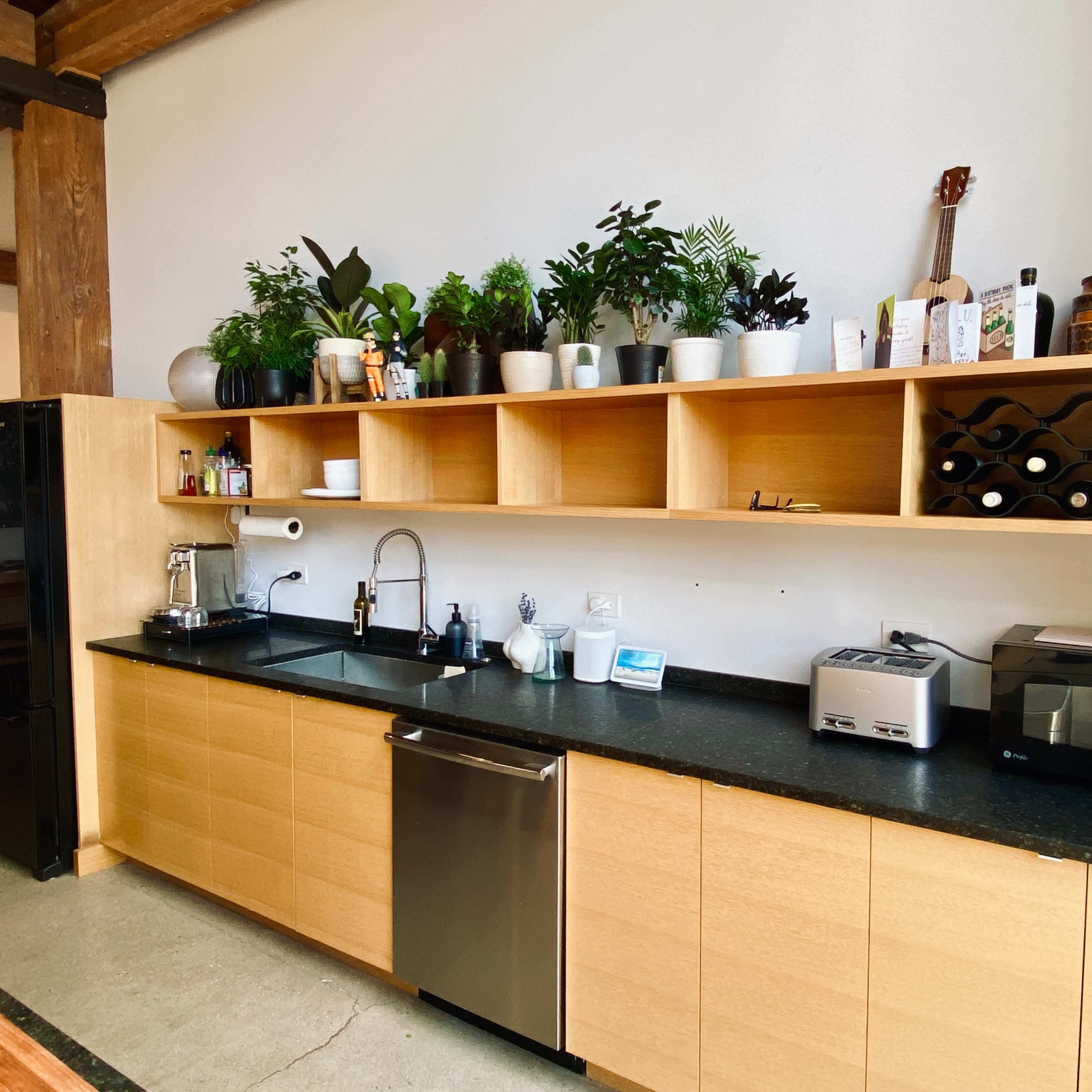 A modern kitchen with a black fridge, a stainless steel dishwasher, and a long wooden countertop, featuring various kitchen appliances and a shelf with plants and decor.