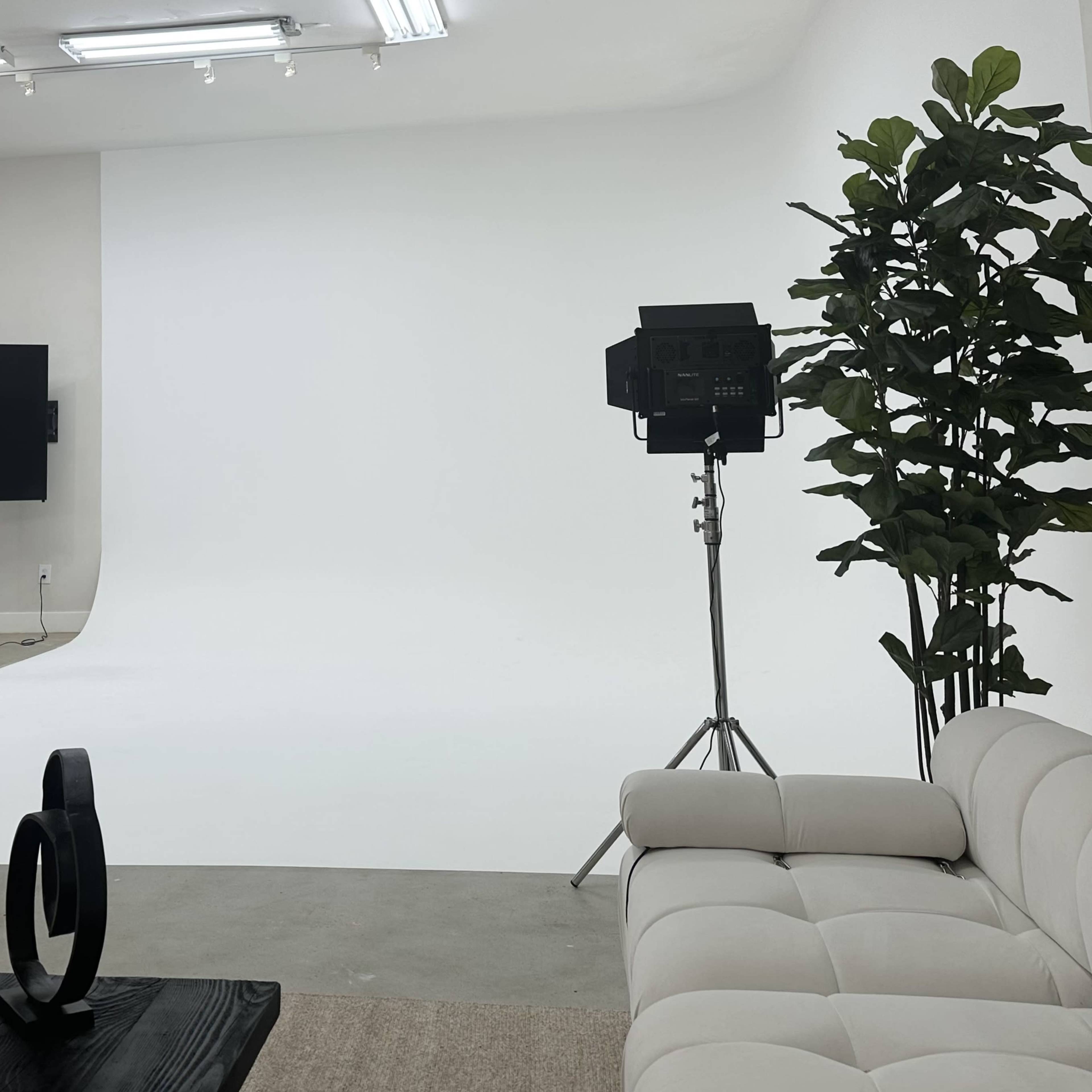 A minimalist photo studio featuring a white backdrop, lighting equipment, potted plants, a light-colored couch, and a wooden table.