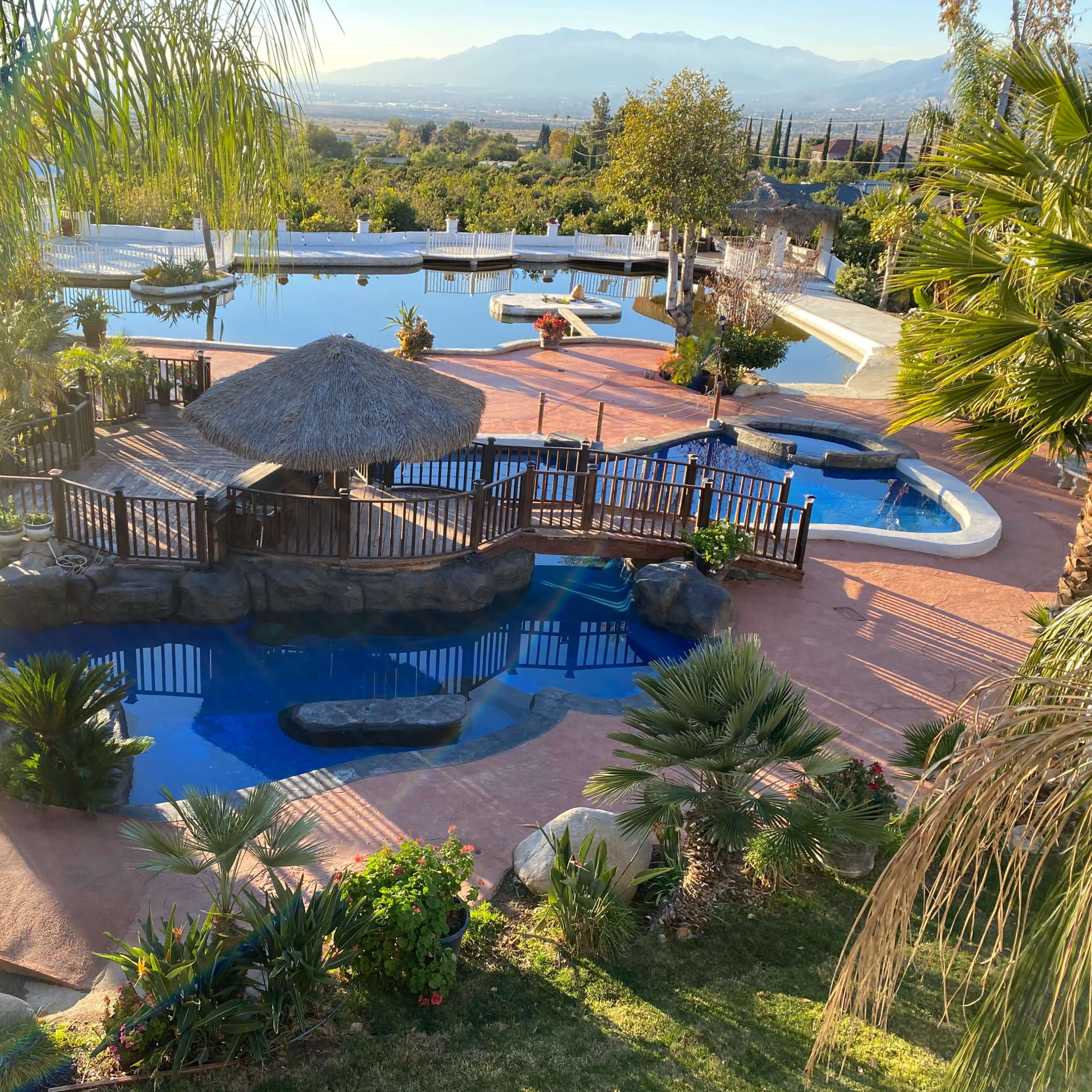 A landscaped outdoor area with a swimming pool, a thatched gazebo, and various palm trees, set against a backdrop of mountains.