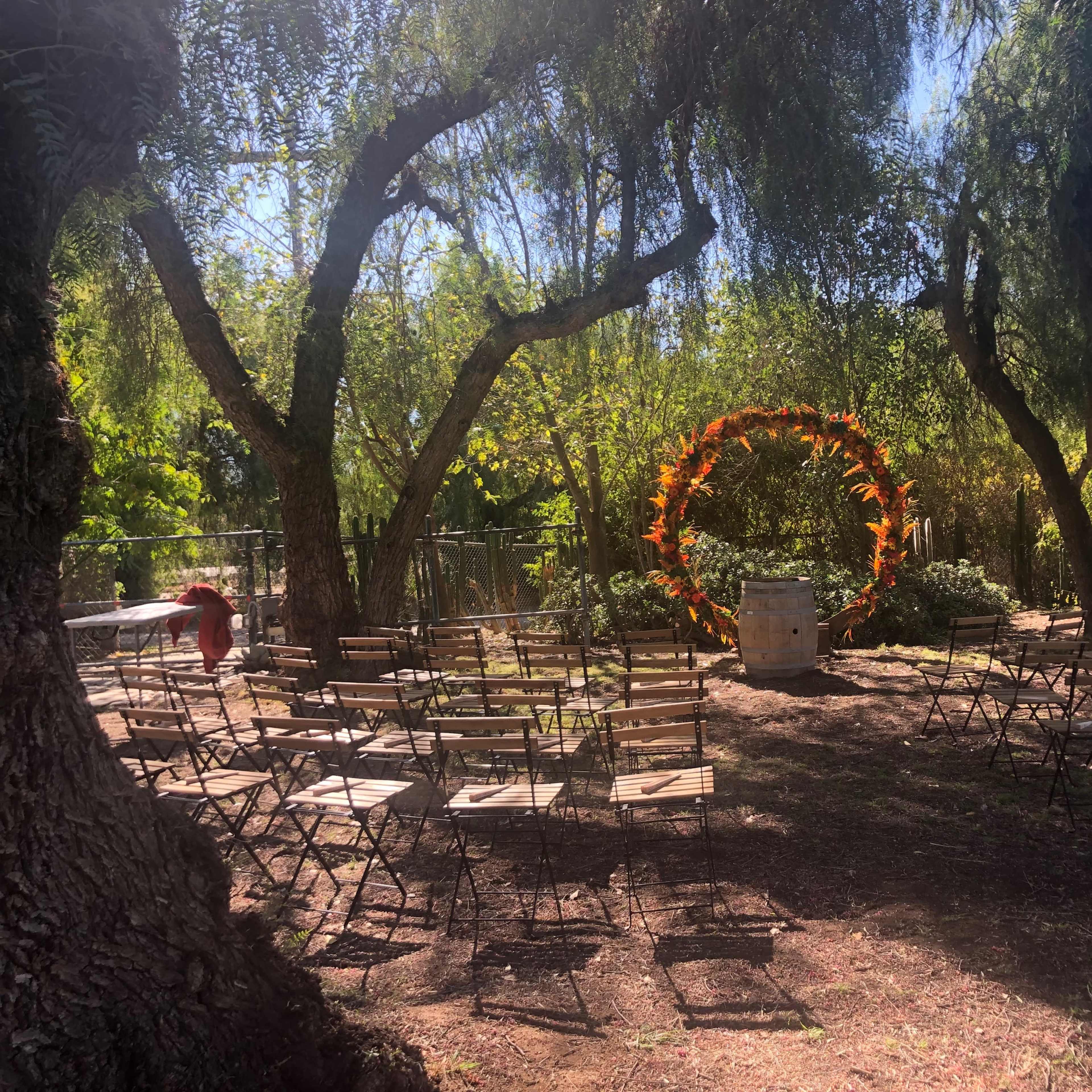 A decorated outdoor venue with wooden chairs arranged in rows facing a circular floral arch.