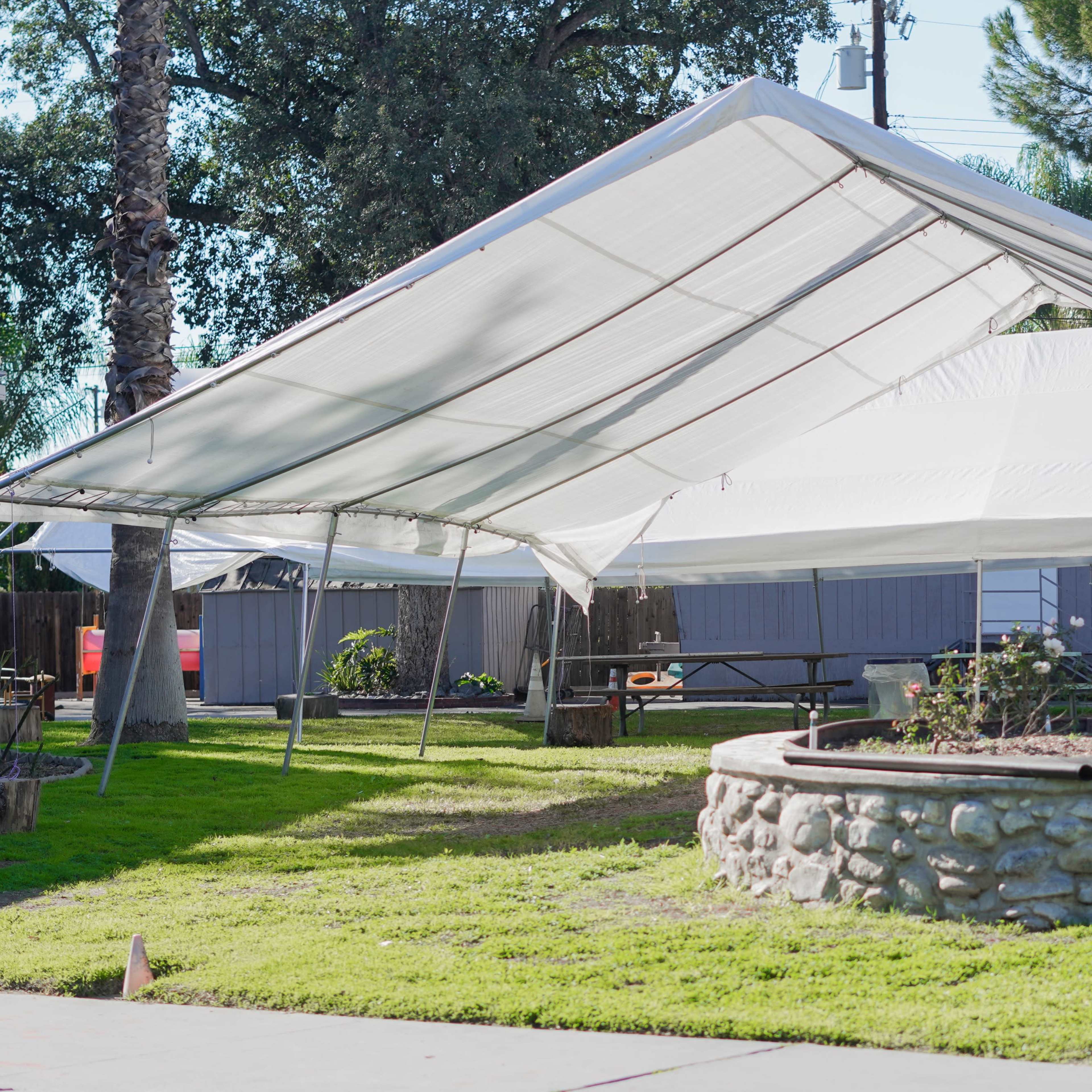 A large white tent is set up beside a stone-raised garden with roses and a peacock in a grassy area.