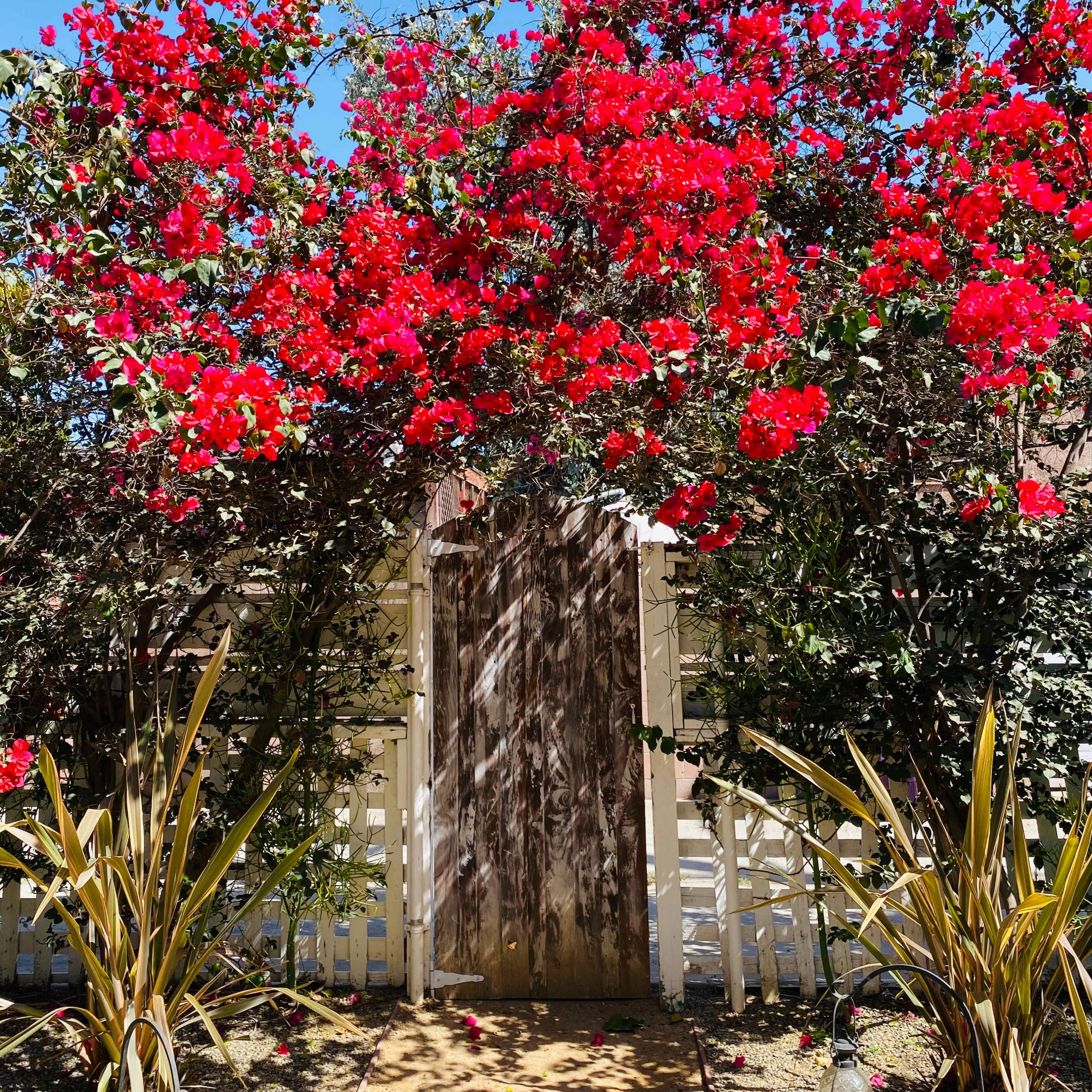 1929 Spanish Boho Bungalow Image in California Heights, Long Beach, CA