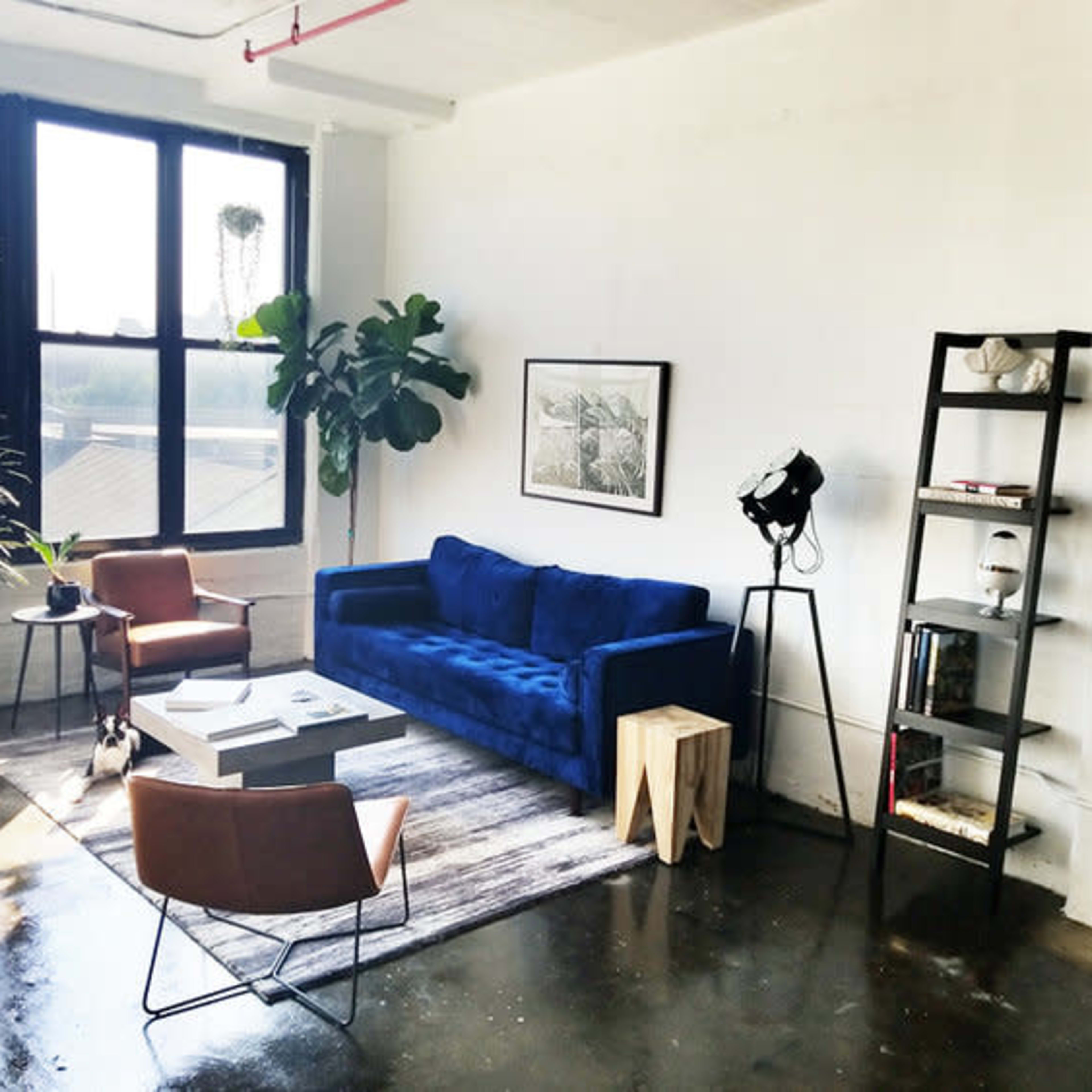 A modern living room with a blue sofa, two brown chairs, a wooden side table, a black shelving unit, and plants beside large windows.