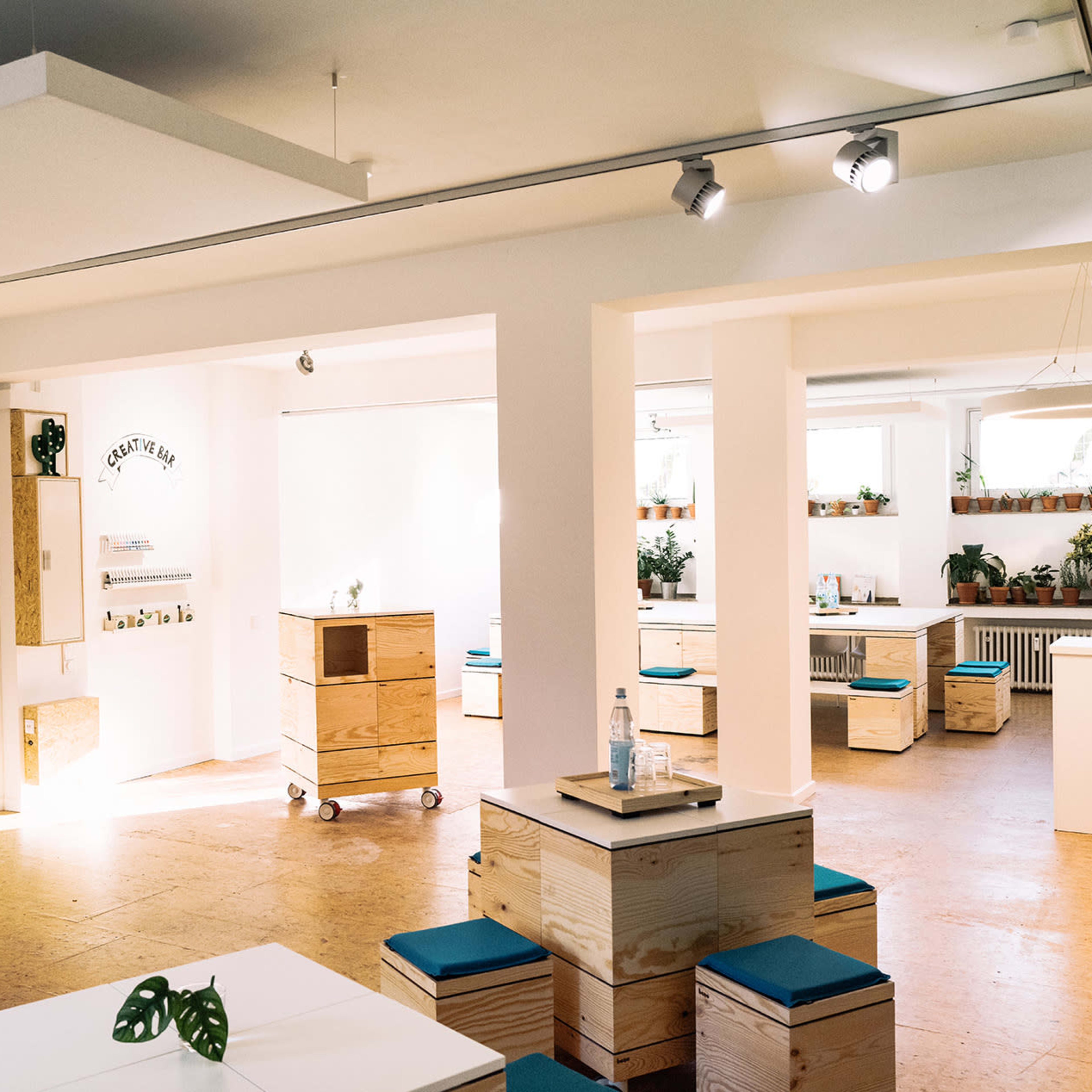 A modern, minimalistic interior space with wooden furniture, white walls, and several plants.