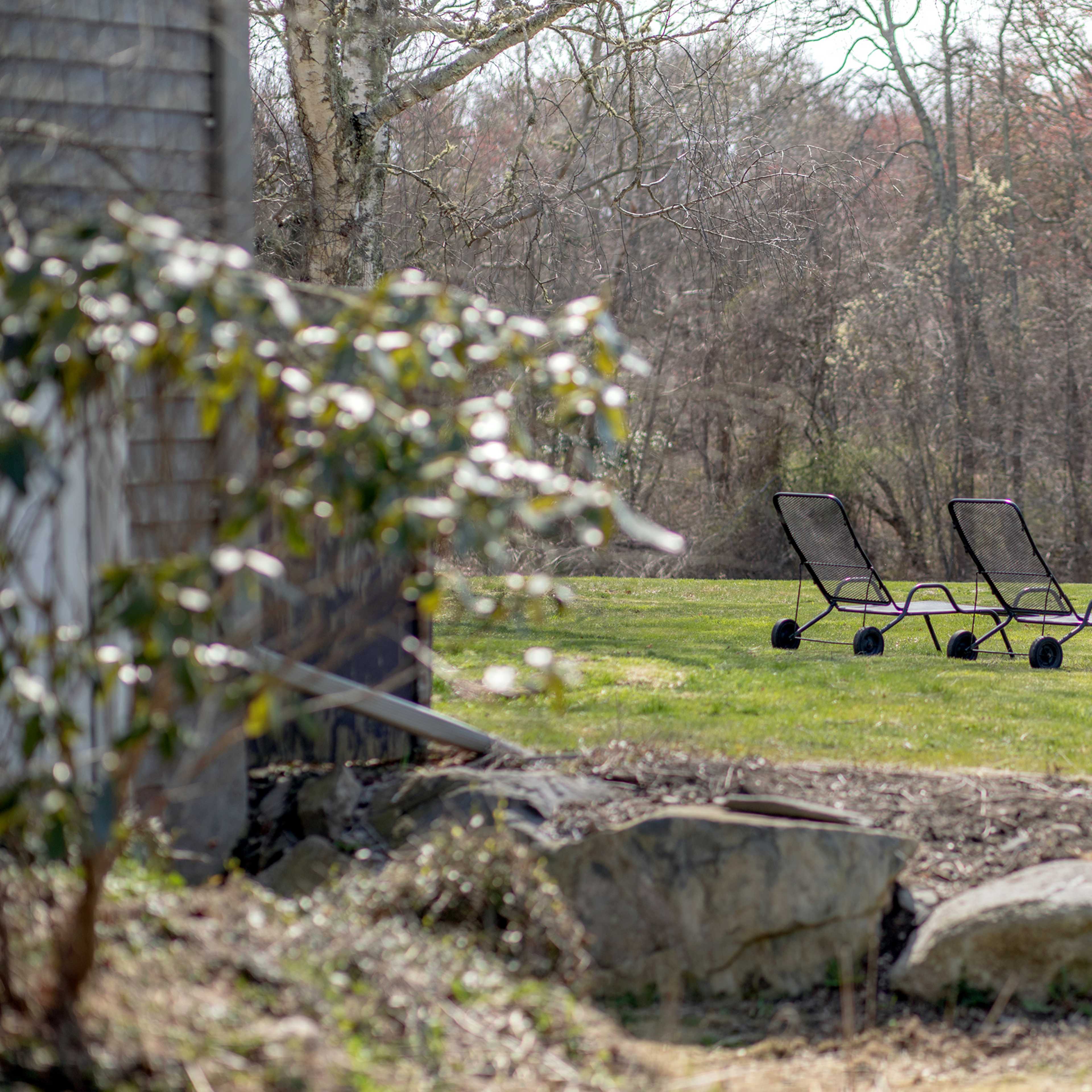 Two black lounge chairs sit on a grassy yard framed by trees in the background.