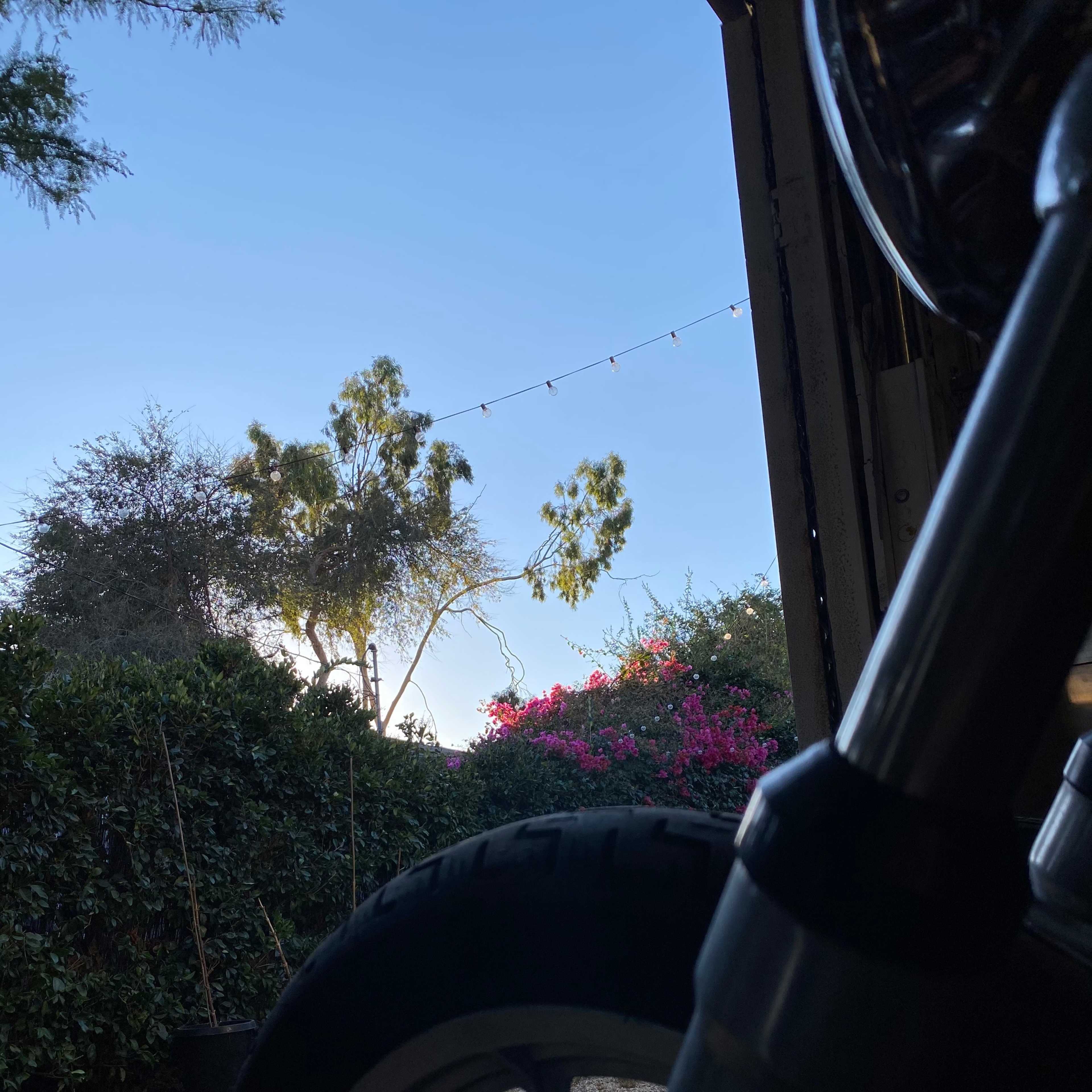 A motorcycle tire in the foreground with a view of trees and pink flowers illuminated by a clear blue sky in the background.