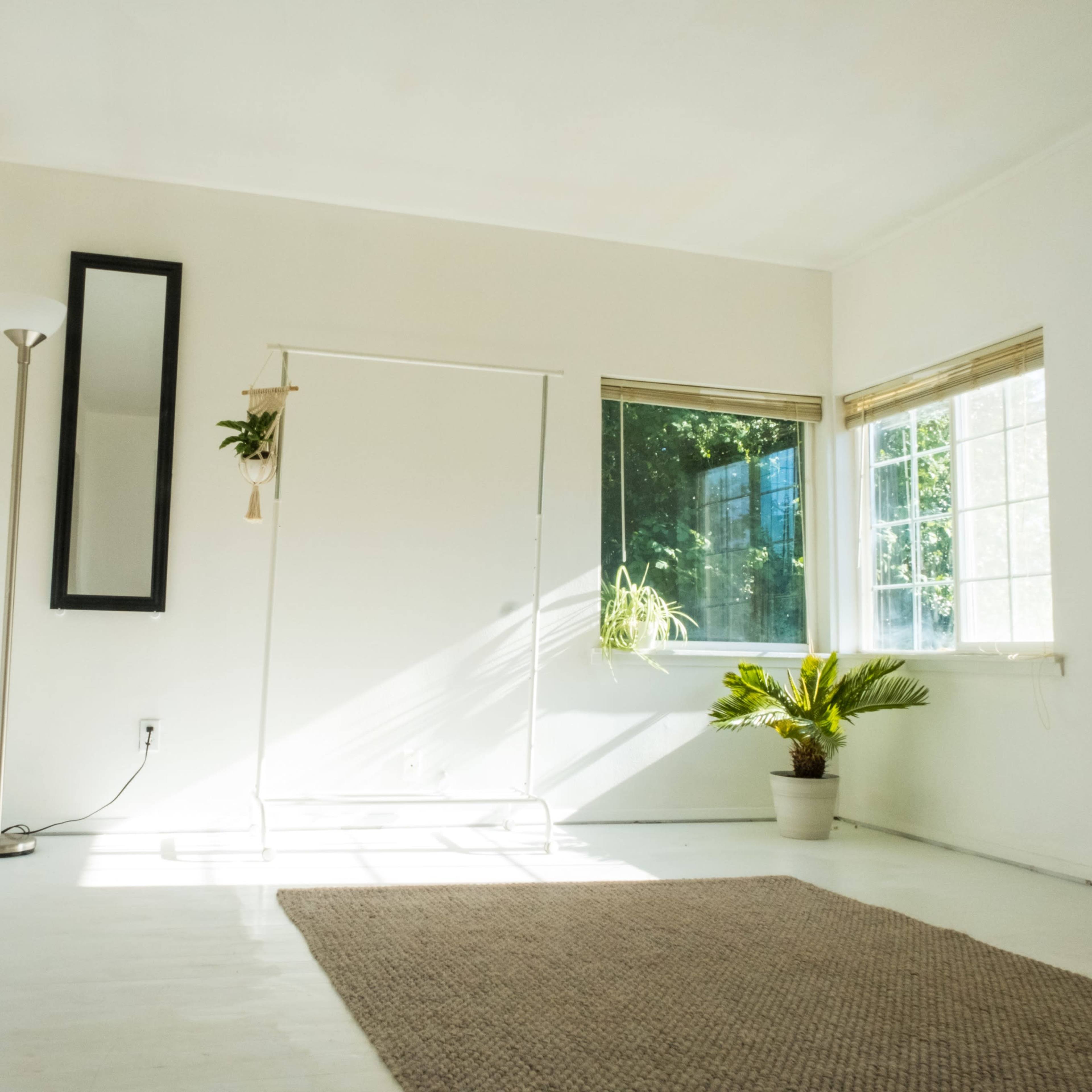 A bright, minimalistic room with a mirror, a clothing rack, a potted plant, and large windows allowing sunlight to enter.
