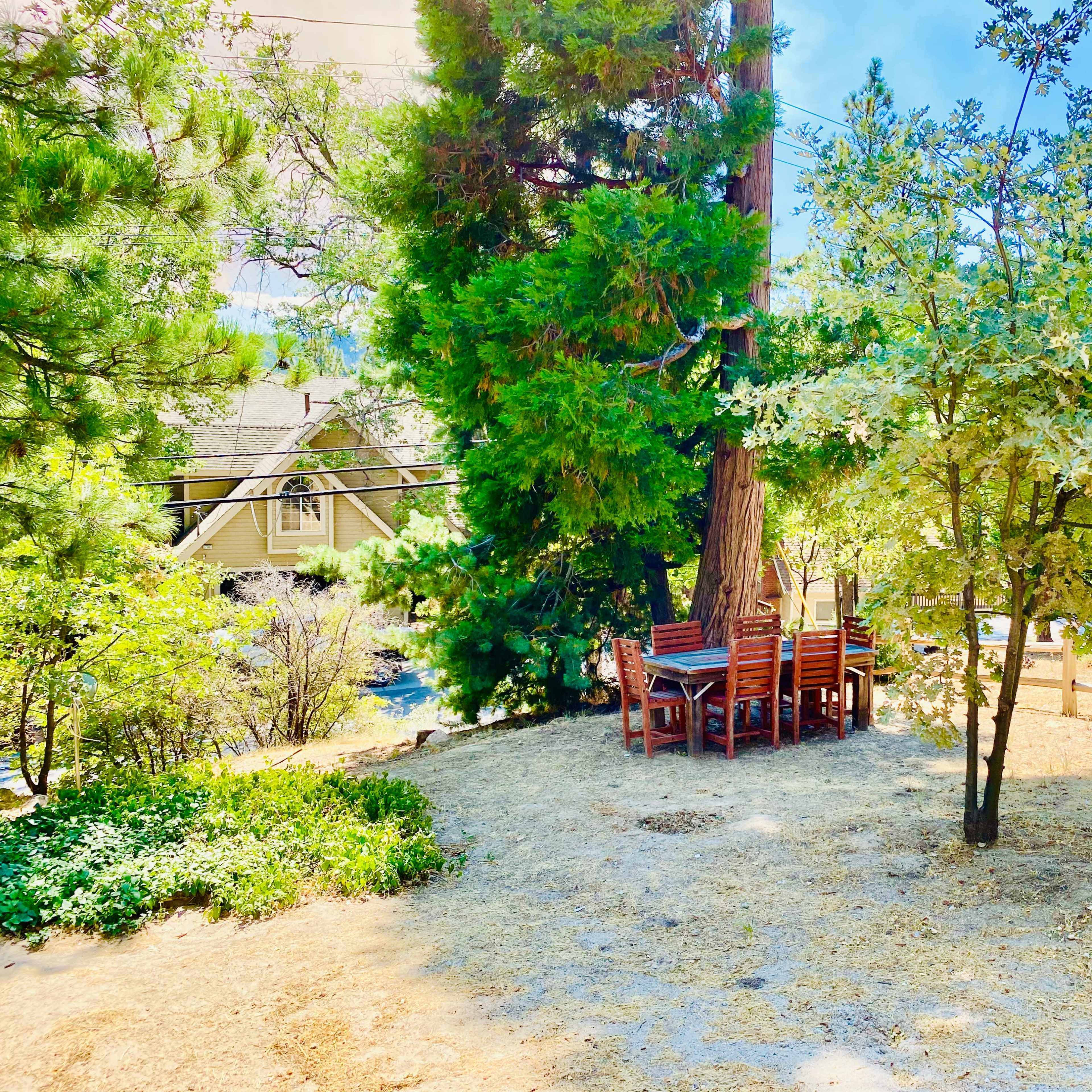 A set of wooden chairs and a table is positioned under a tree in a sunlit outdoor area with surrounding greenery.