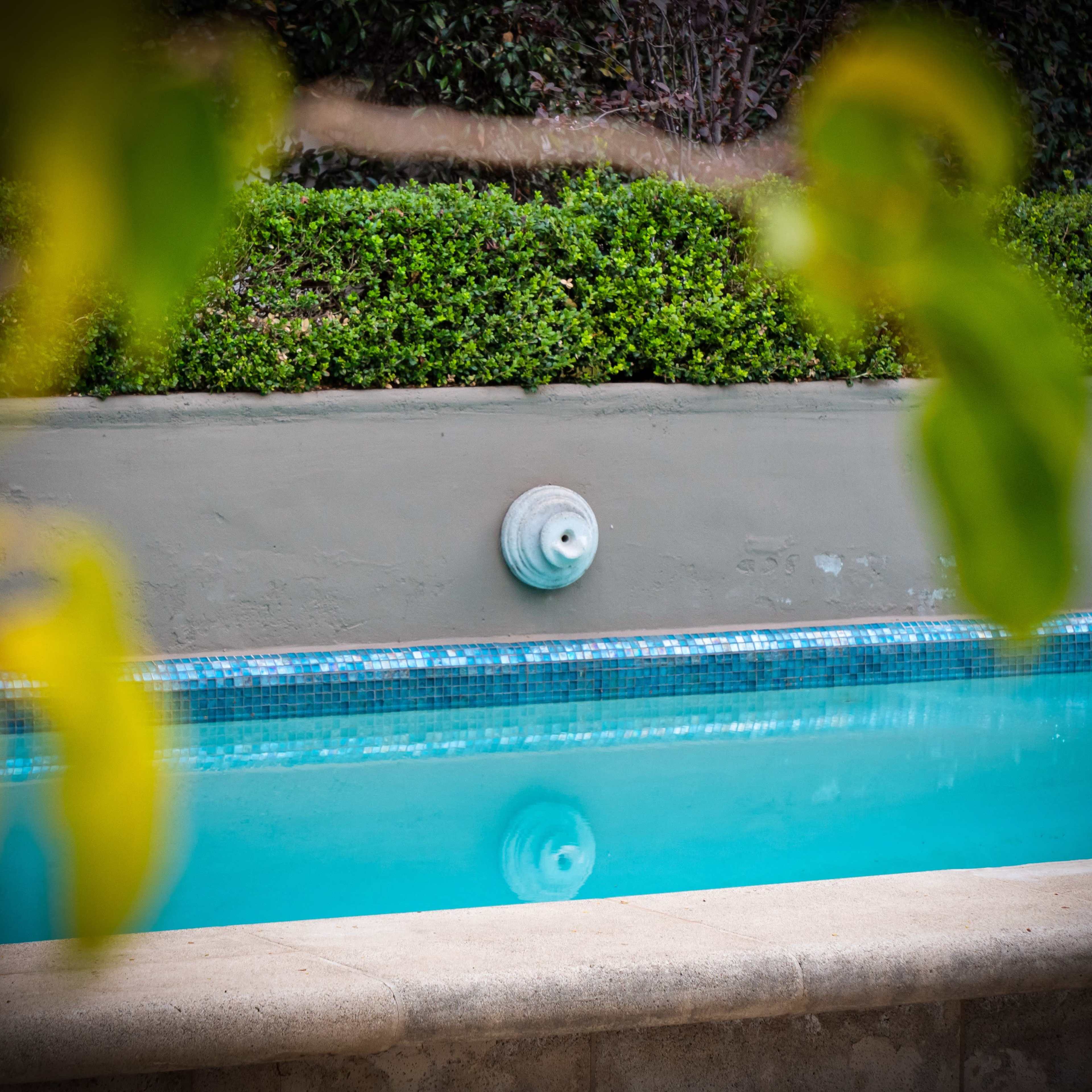 A swimming pool with a smooth surface reflecting the surrounding foliage and features a decorative wall with circular fixtures.
