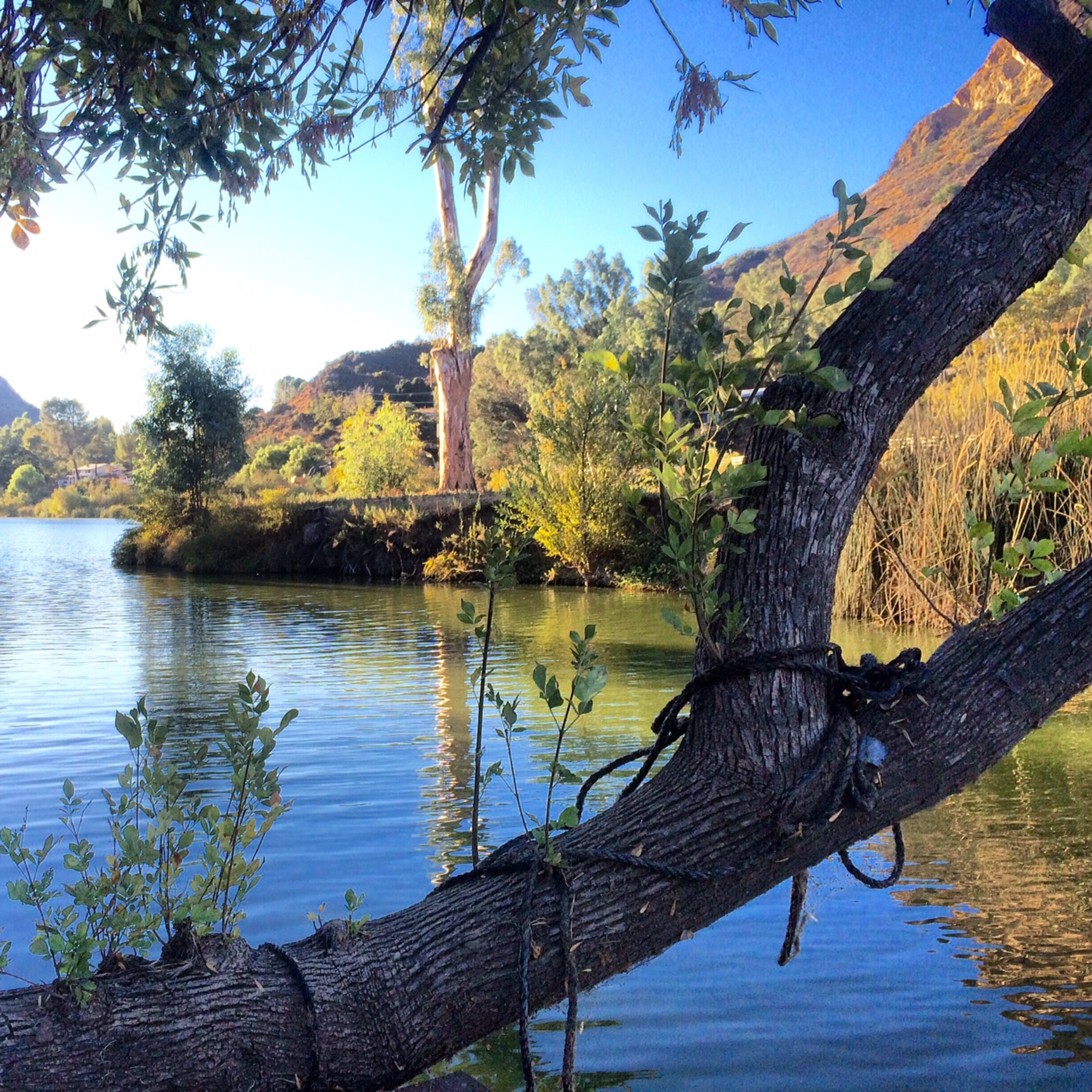 A tranquil river flows alongside greenery and trees, with a small blue boat visible near the bank.