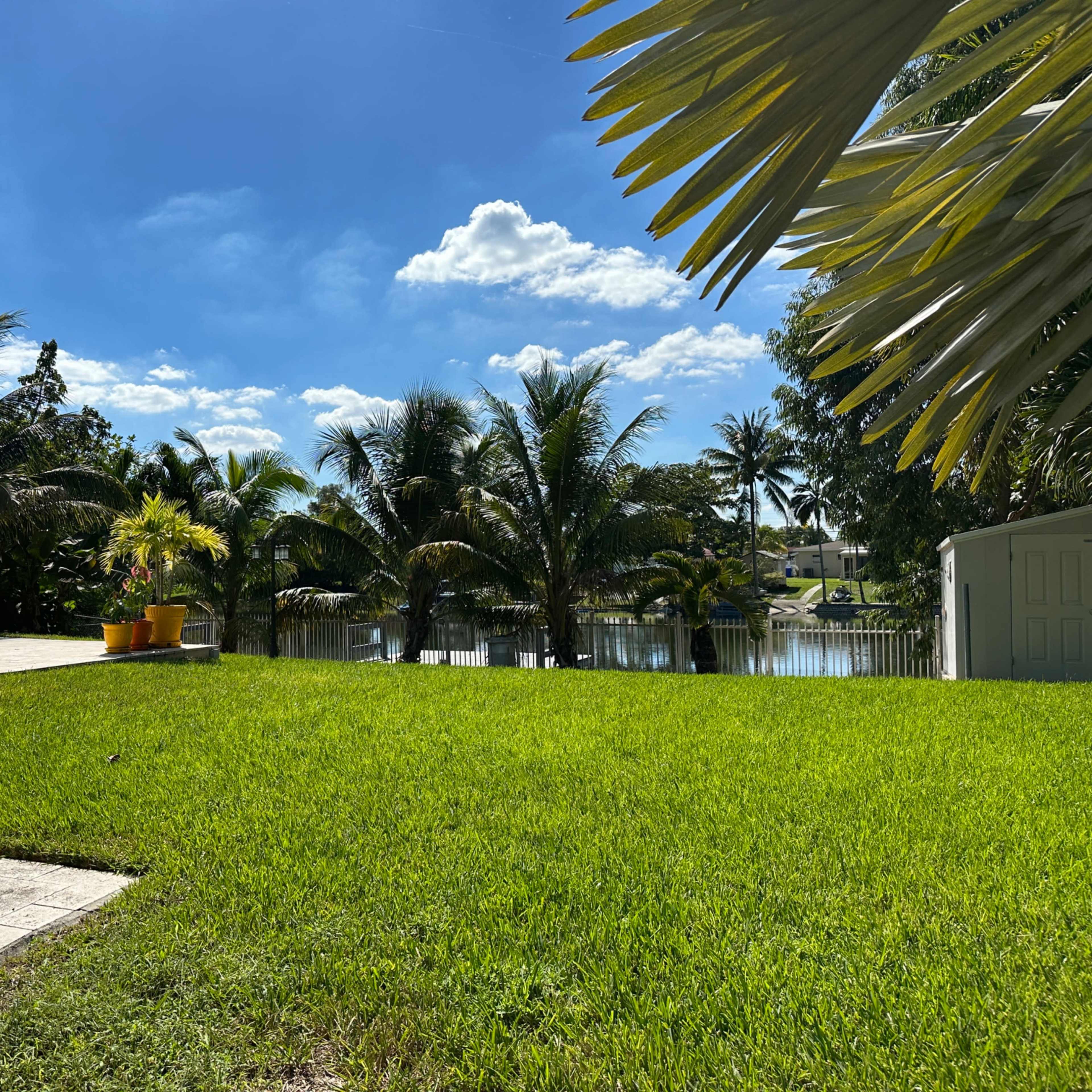 A grassy backyard with palm trees surrounding a patio area and a view of a body of water in the background.