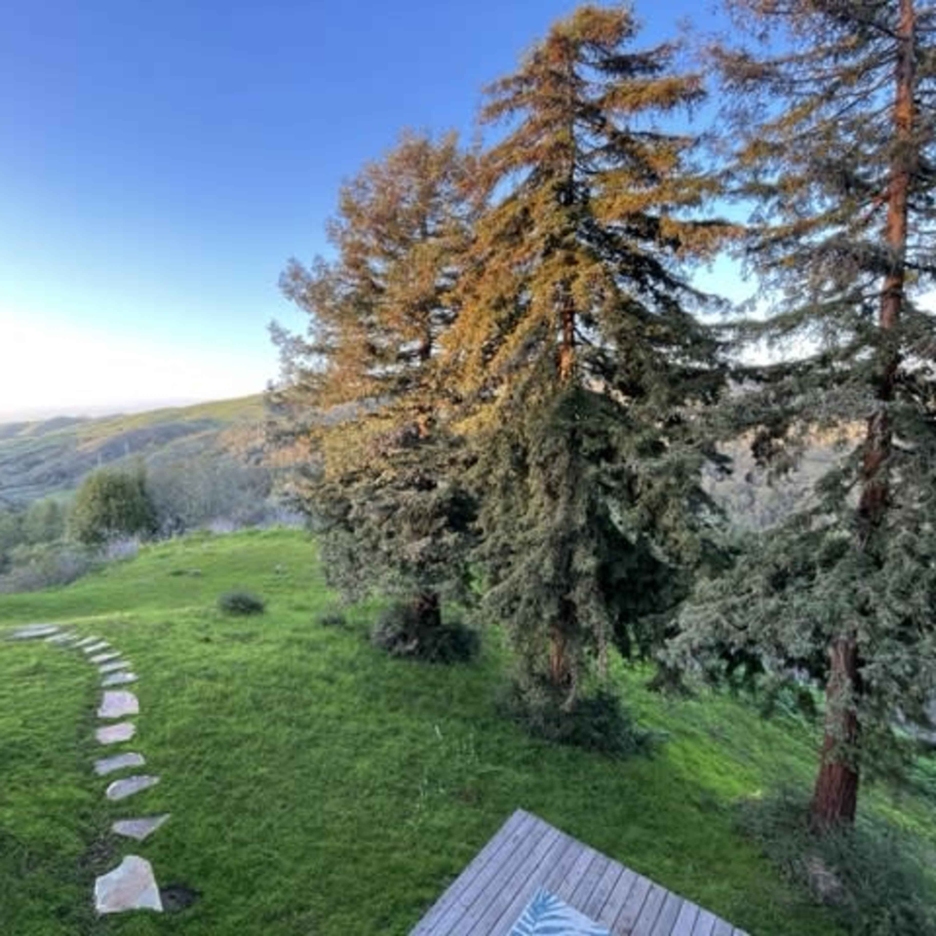 A grassy landscape with a stone pathway leading through trees, overlooking rolling hills in the distance.