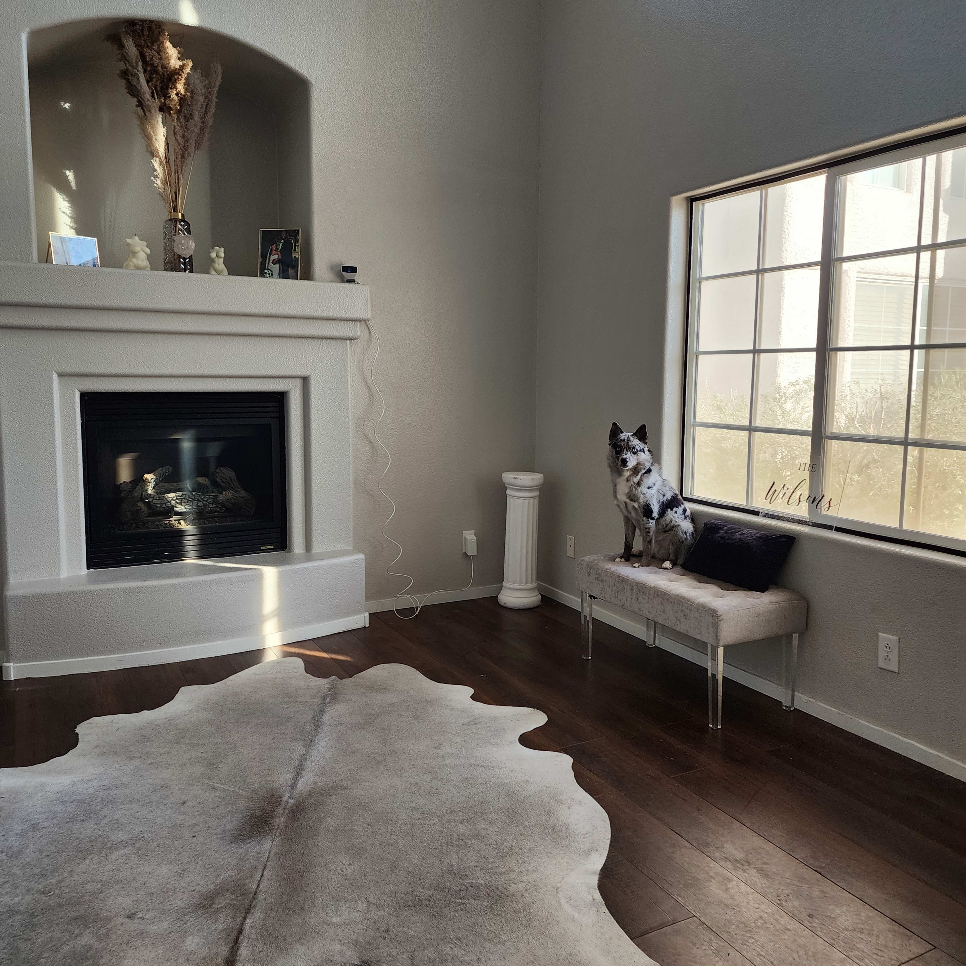 A light-filled living room featuring a fireplace, a cowhide rug, and a dog sitting on a bench beside a large window.