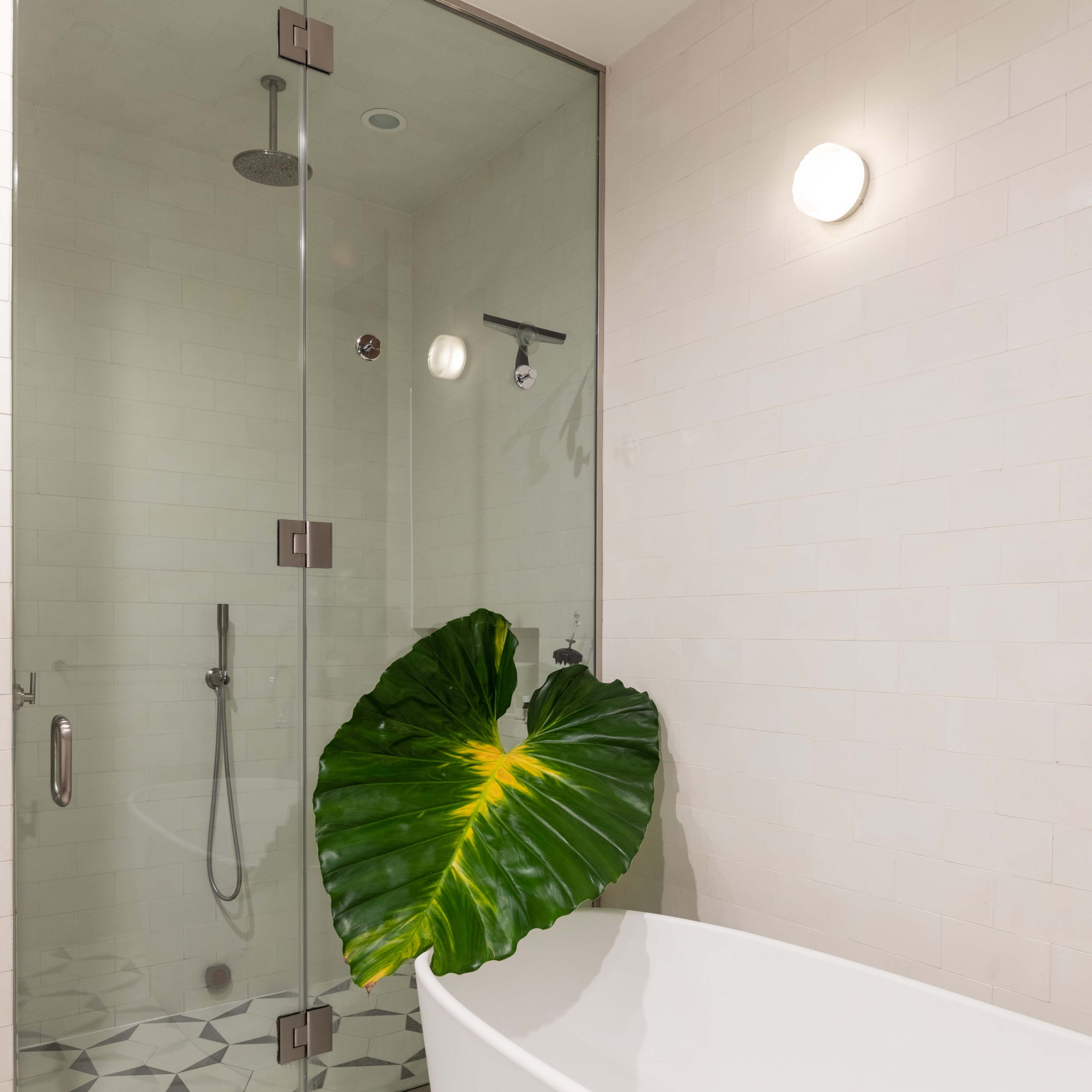 A modern bathroom features a freestanding bathtub and a glass shower enclosure with a large leaf placed beside it.