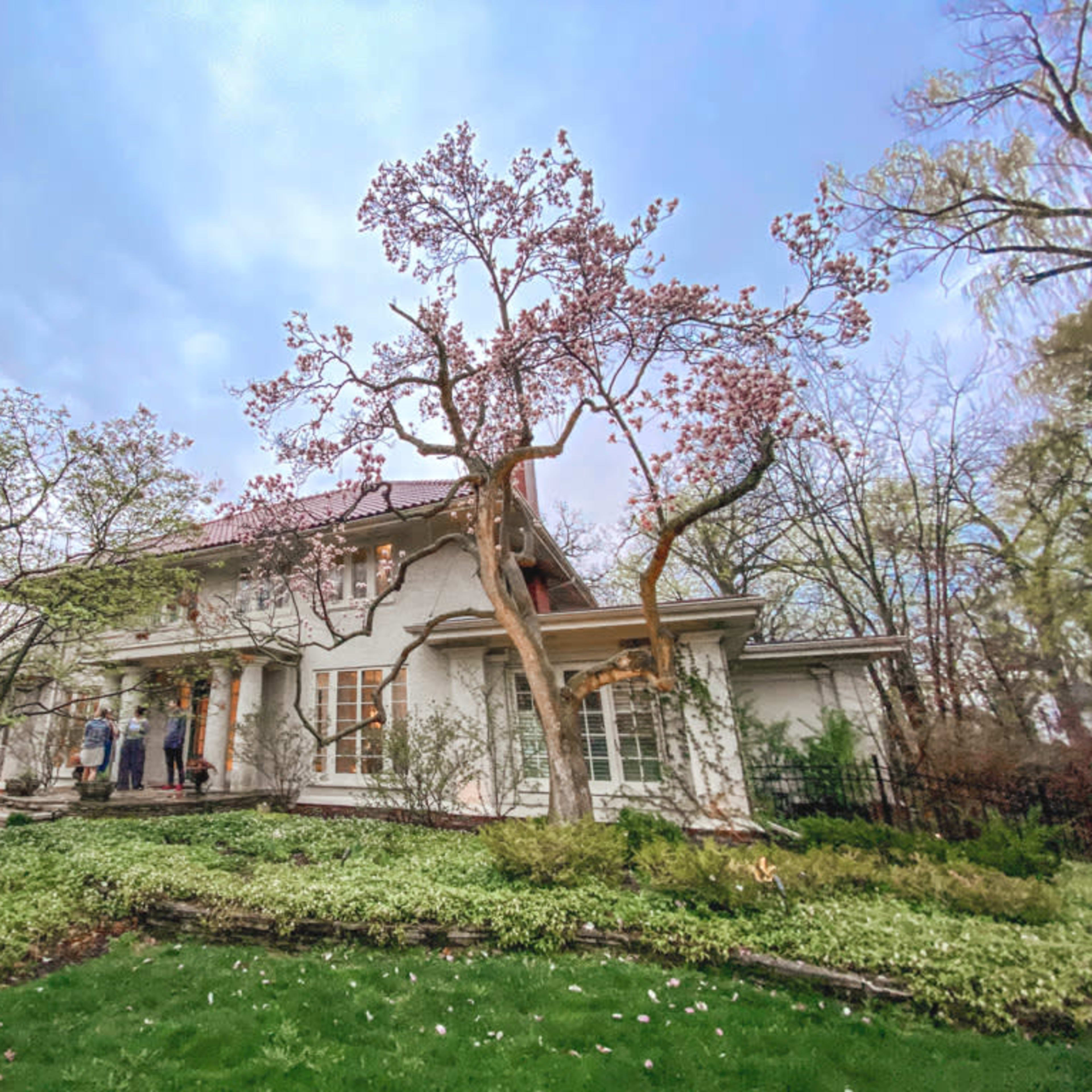 A white house with a covered porch is surrounded by greenery and a flowering tree, set against a cloudy sky.