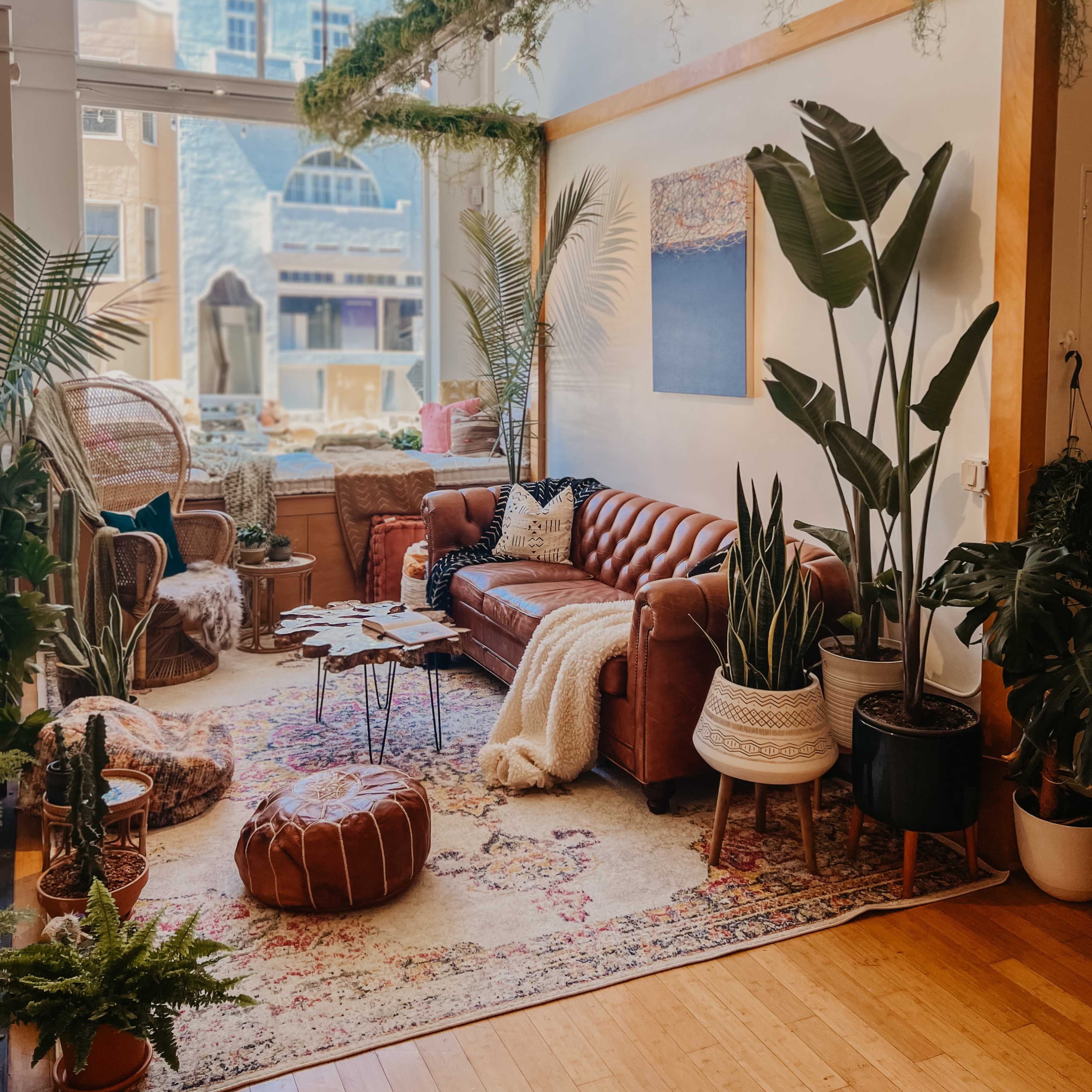 A cozy living room featuring a brown leather sofa, various indoor plants, a colorful area rug, and a decorative overhead plant arrangement.