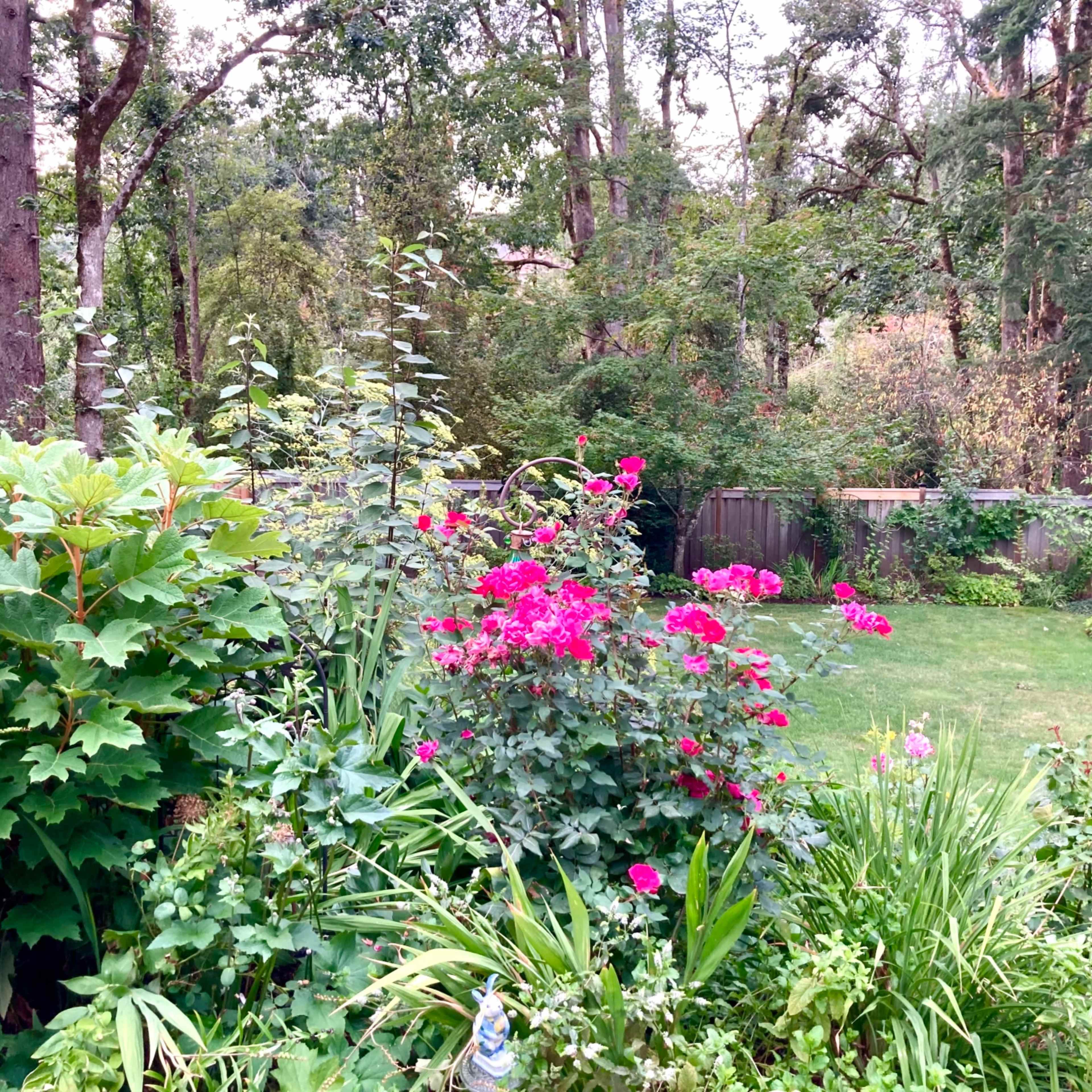 A garden filled with vibrant pink flowers and lush greenery is bordered by a wooded area in the background.