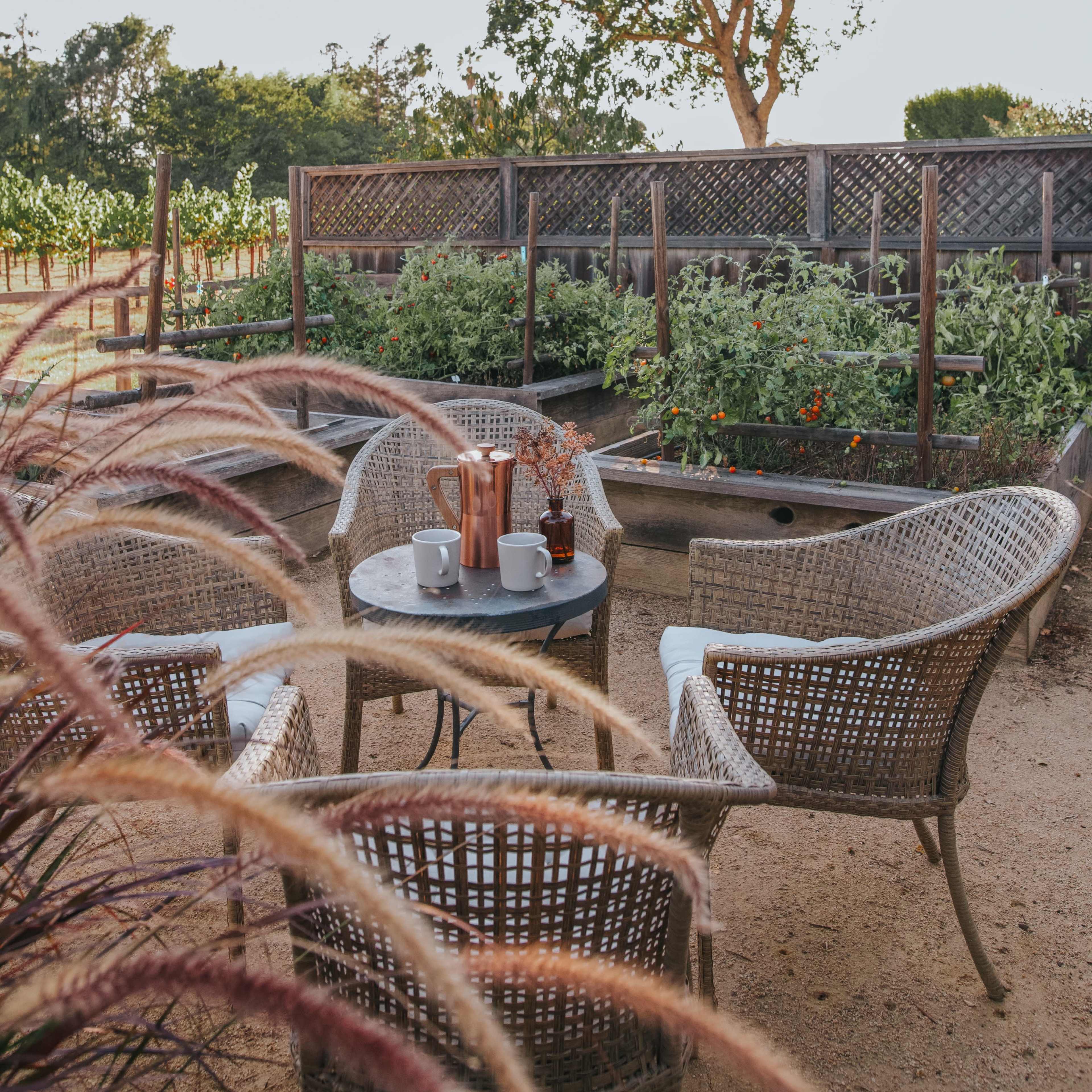 A cozy seating area with four wicker chairs and a small table is set amidst a garden with a tree and planted rows in the background.