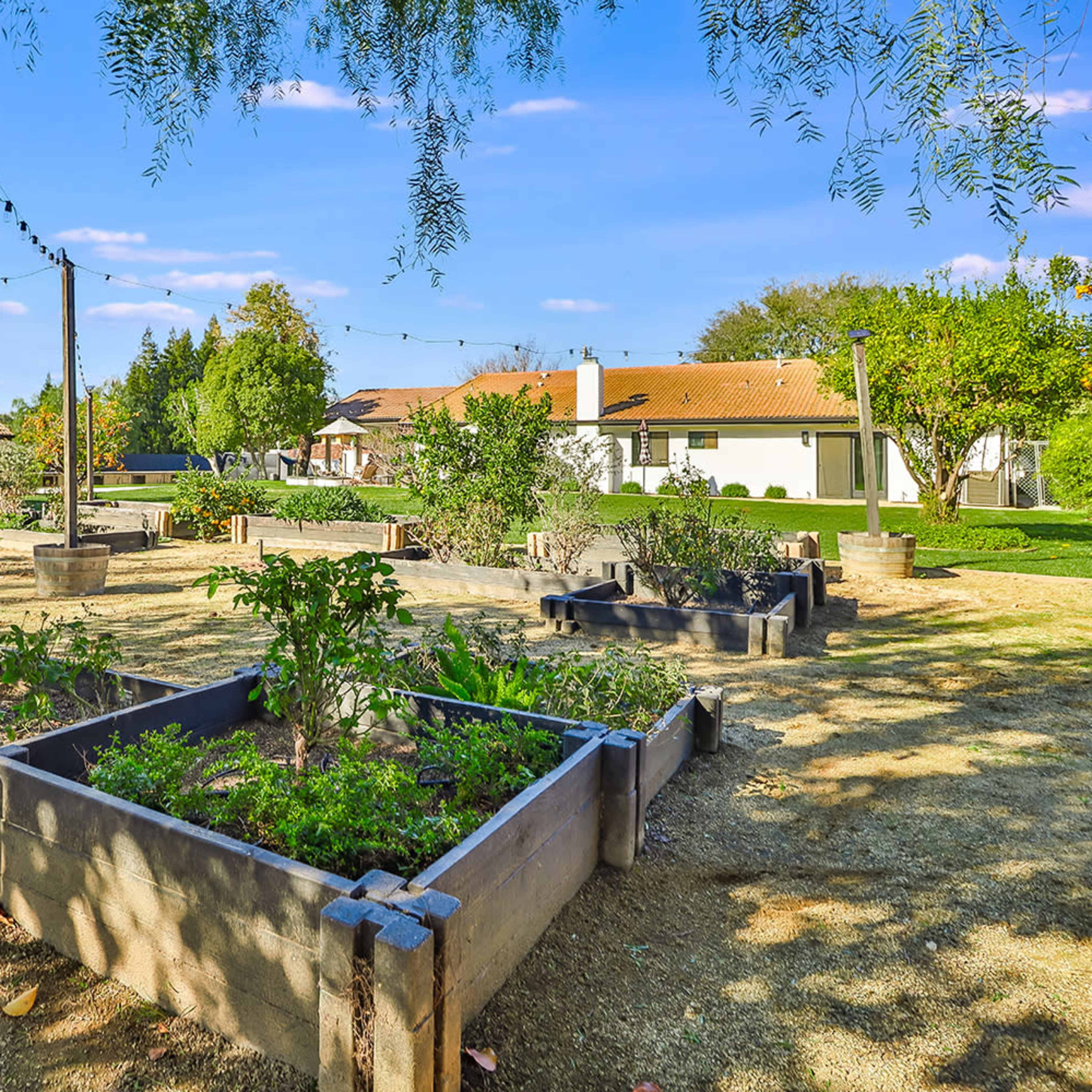 A garden area with raised planting beds, string lights overhead, and a few houses in the background.
