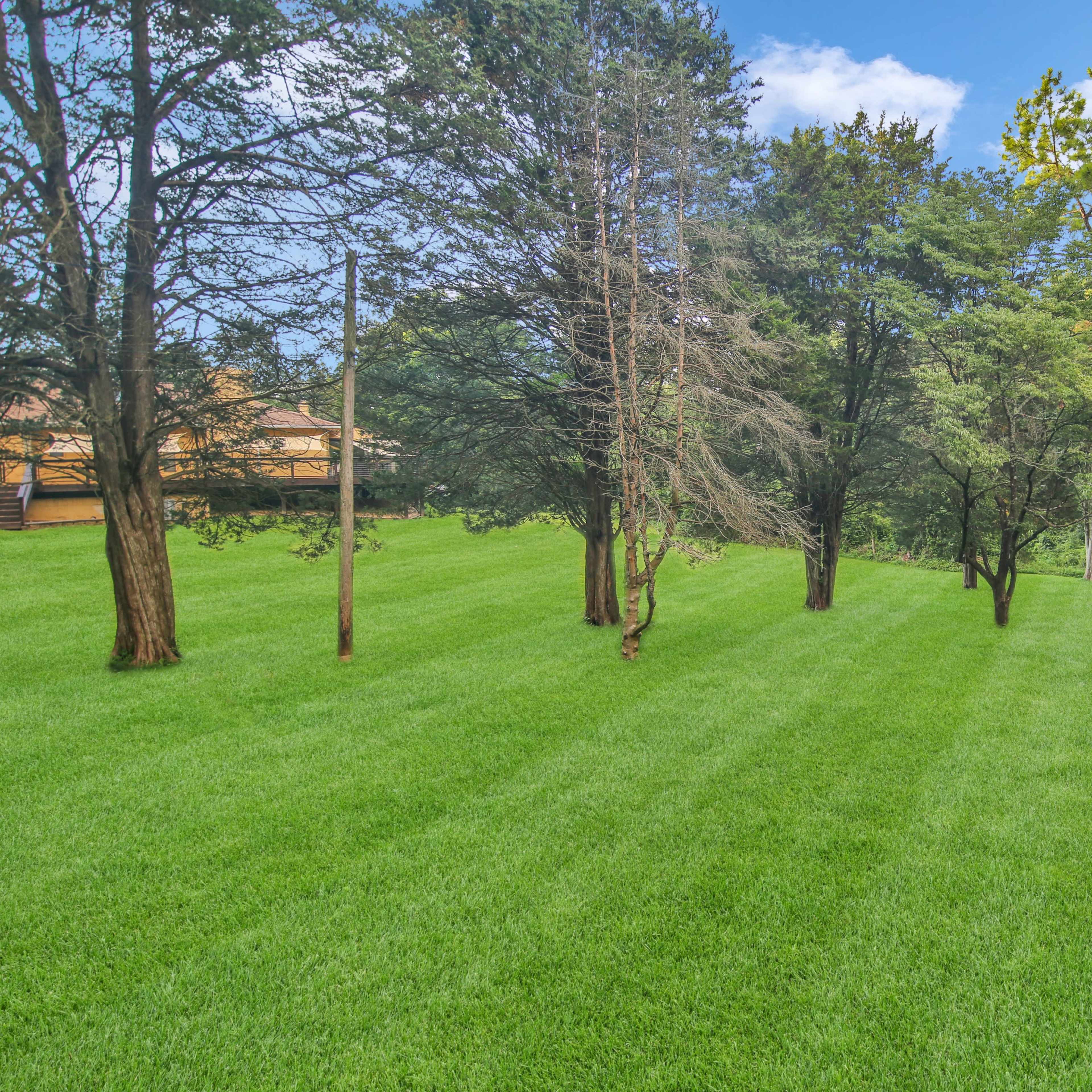 A well-maintained grassy area with several trees scattered throughout.