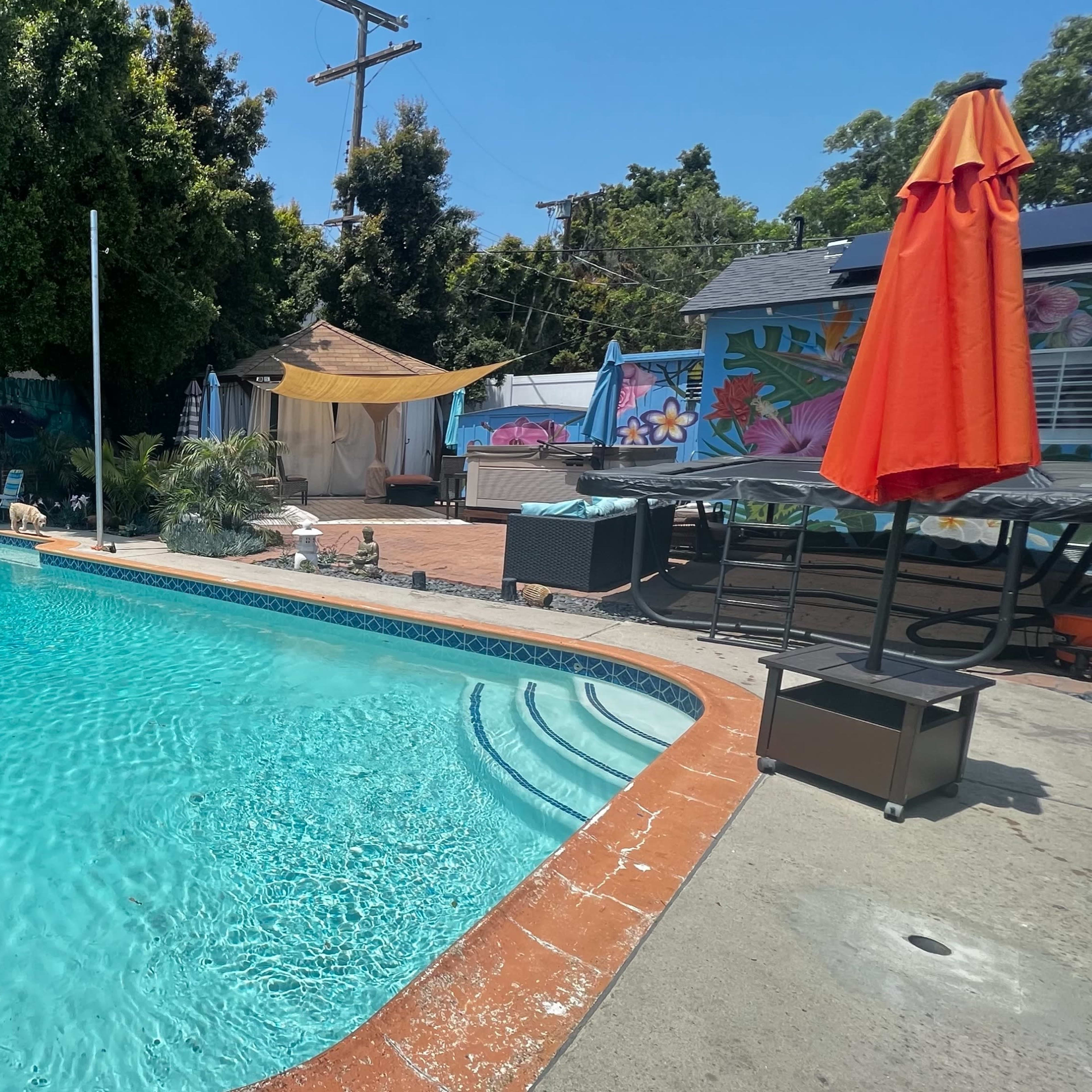A residential backyard features a swimming pool surrounded by colorful murals and patio furniture.