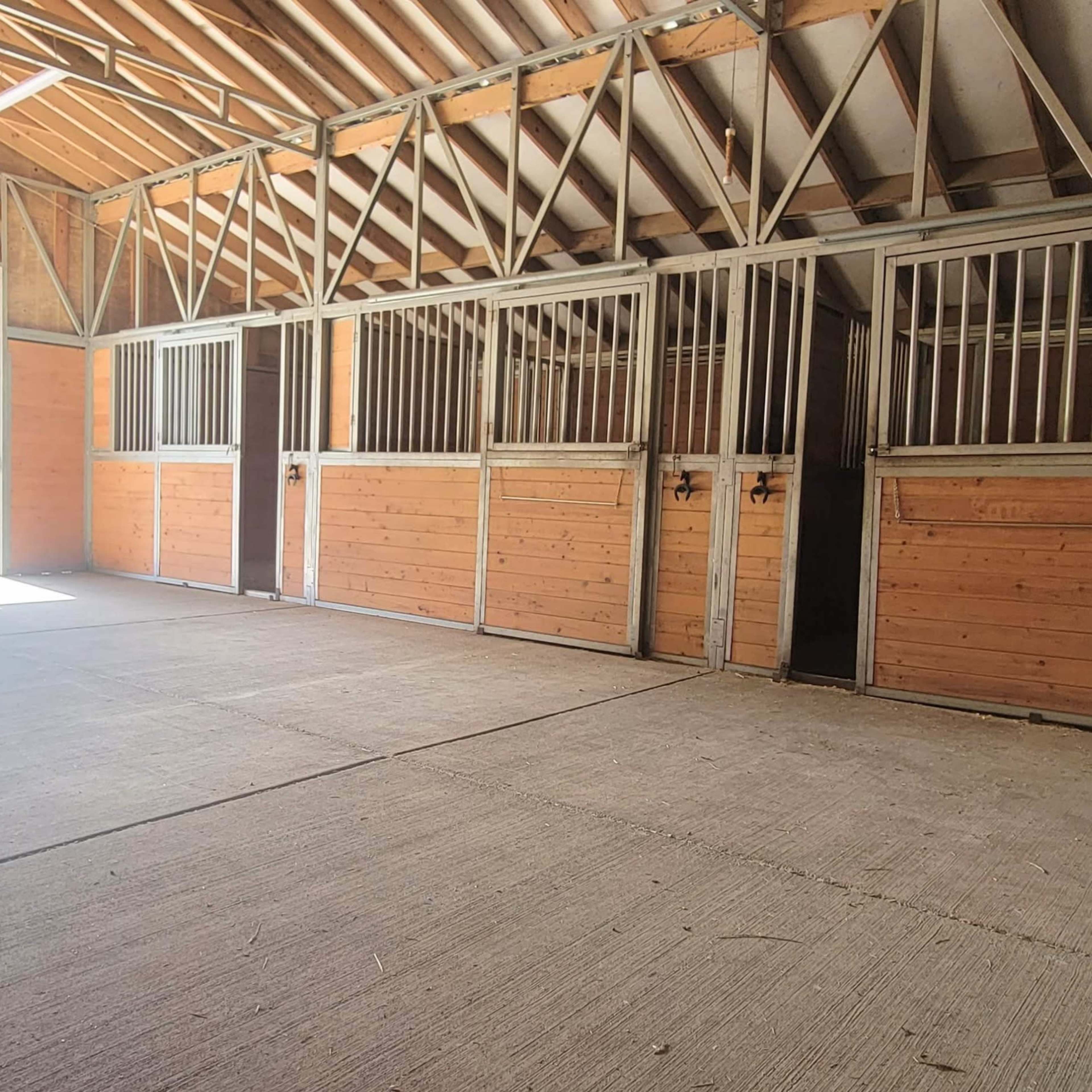 An empty horse barn with wooden stalls and an open entrance leading to a grassy area outside.