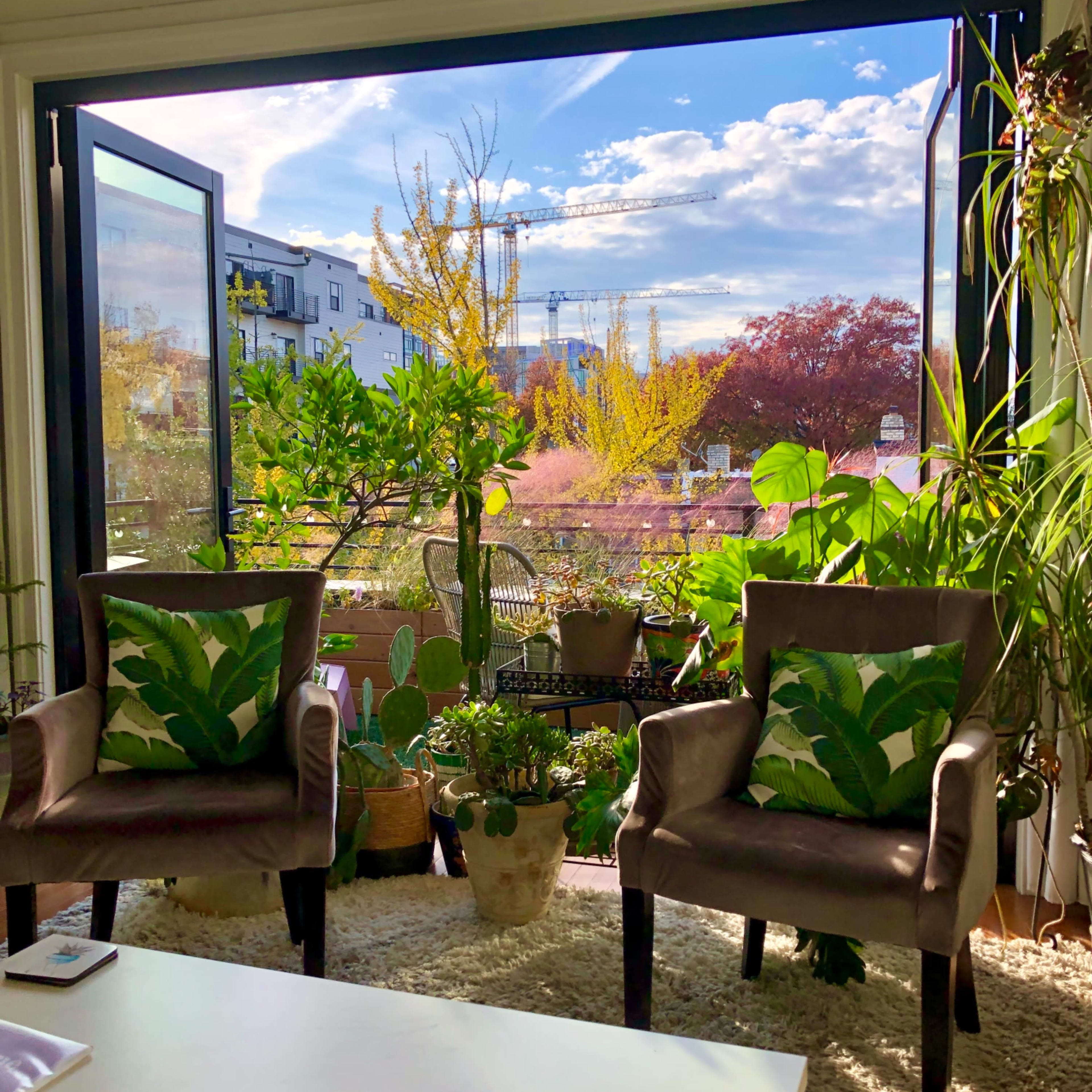A sunlit living room with two chairs facing a large open window, revealing a view of potted plants and trees outside.