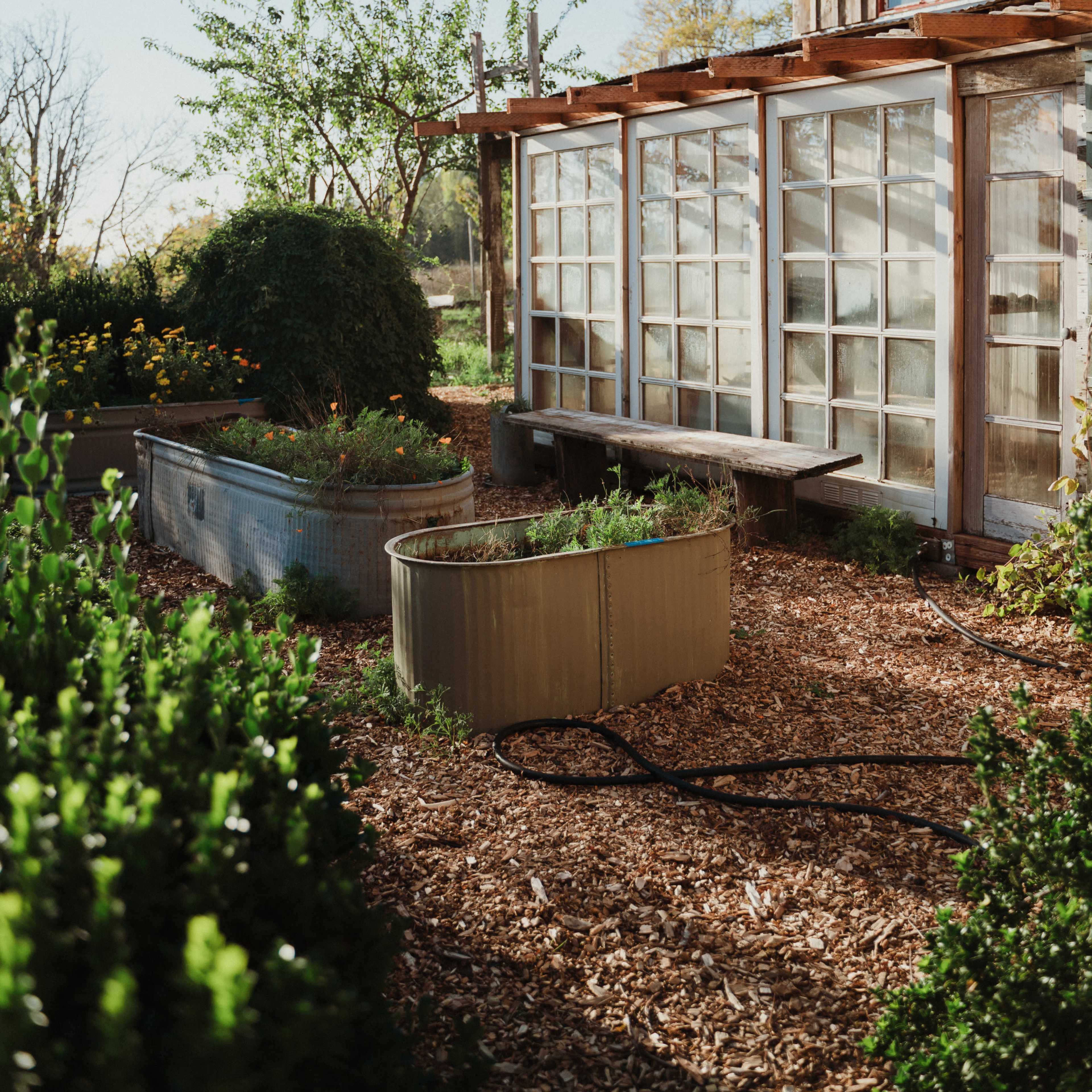 A garden area with raised planter beds and a glass-panelled greenhouse surrounded by mulch and greenery.