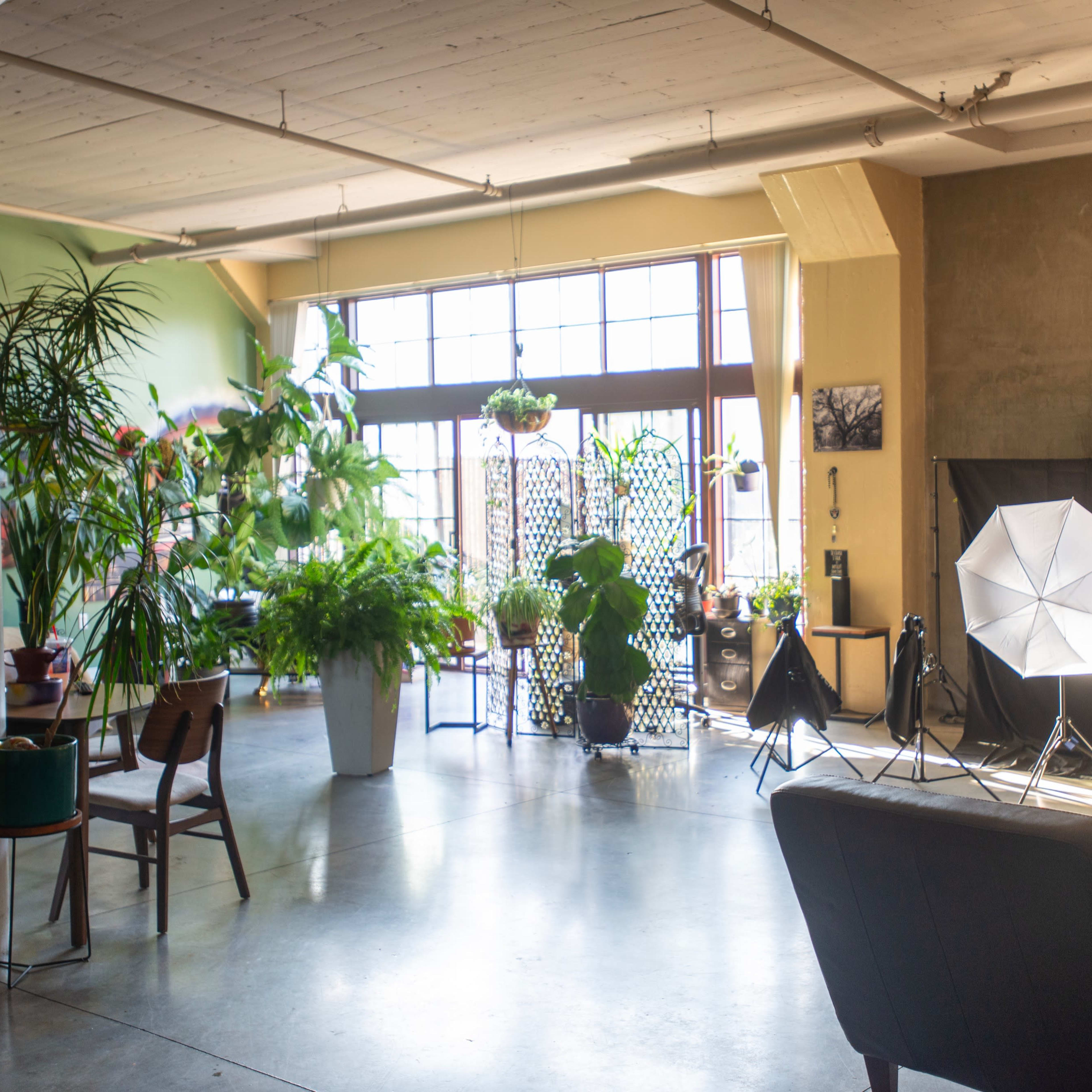 Green art living loft Image in East 14th Street Business District, Oakland, CA